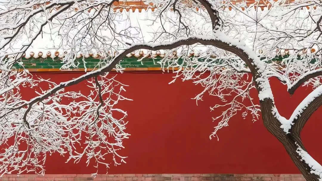 ins风 壁纸预览