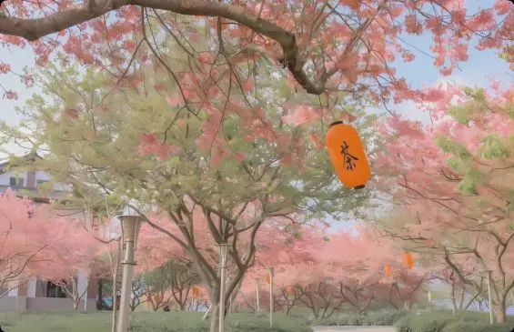 ins风 壁纸预览
