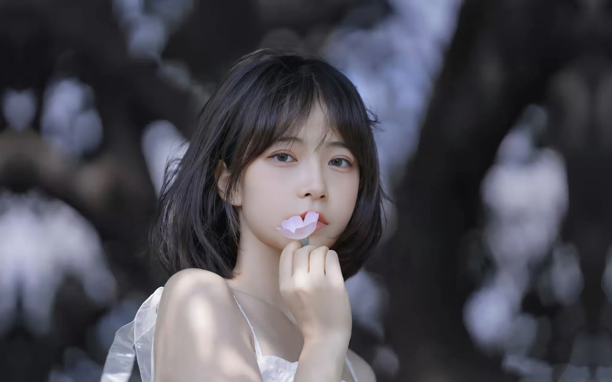 美女 四千年美女 壁纸预览