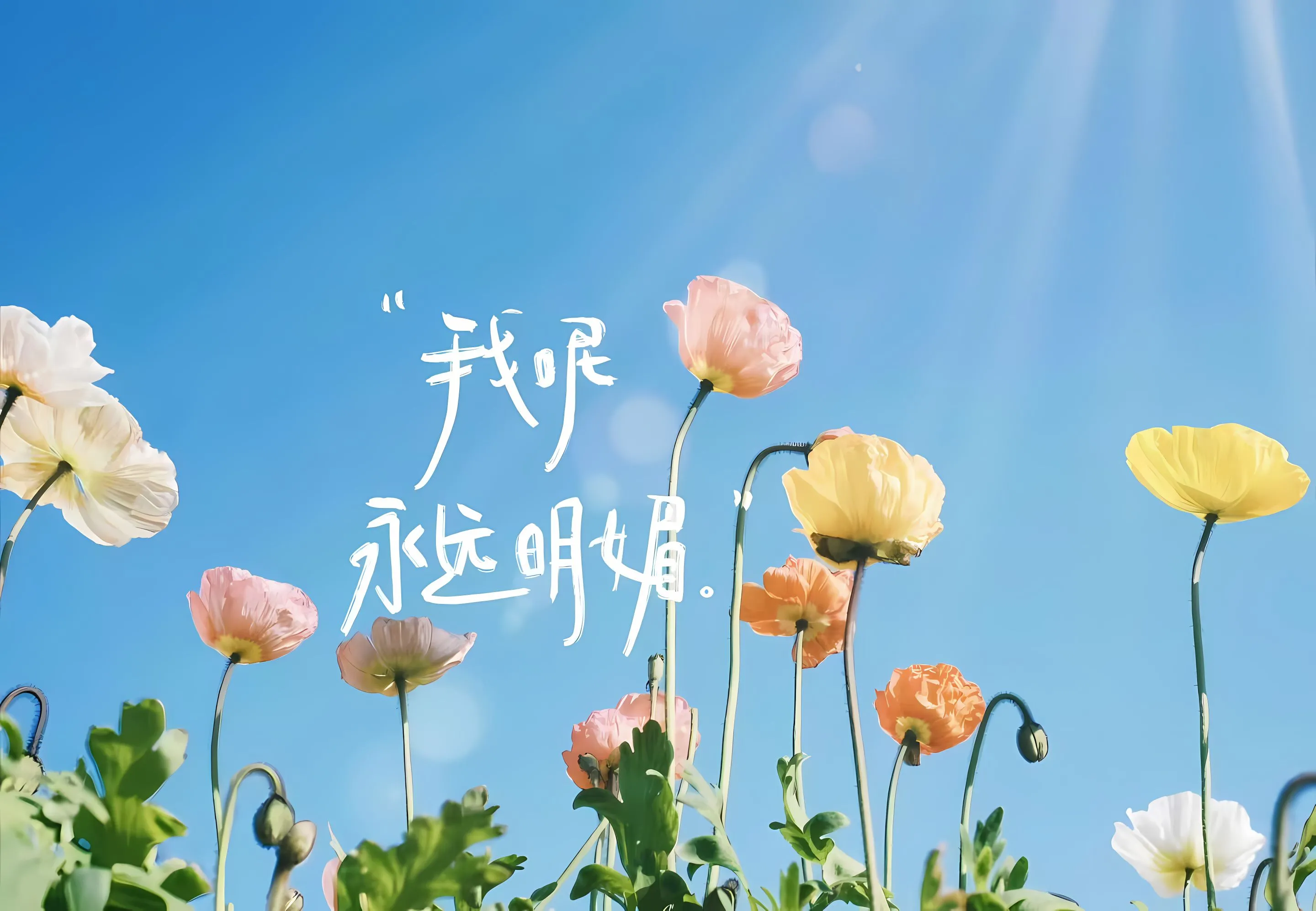 励志 文字 文案 ins风 风景 壁纸预览