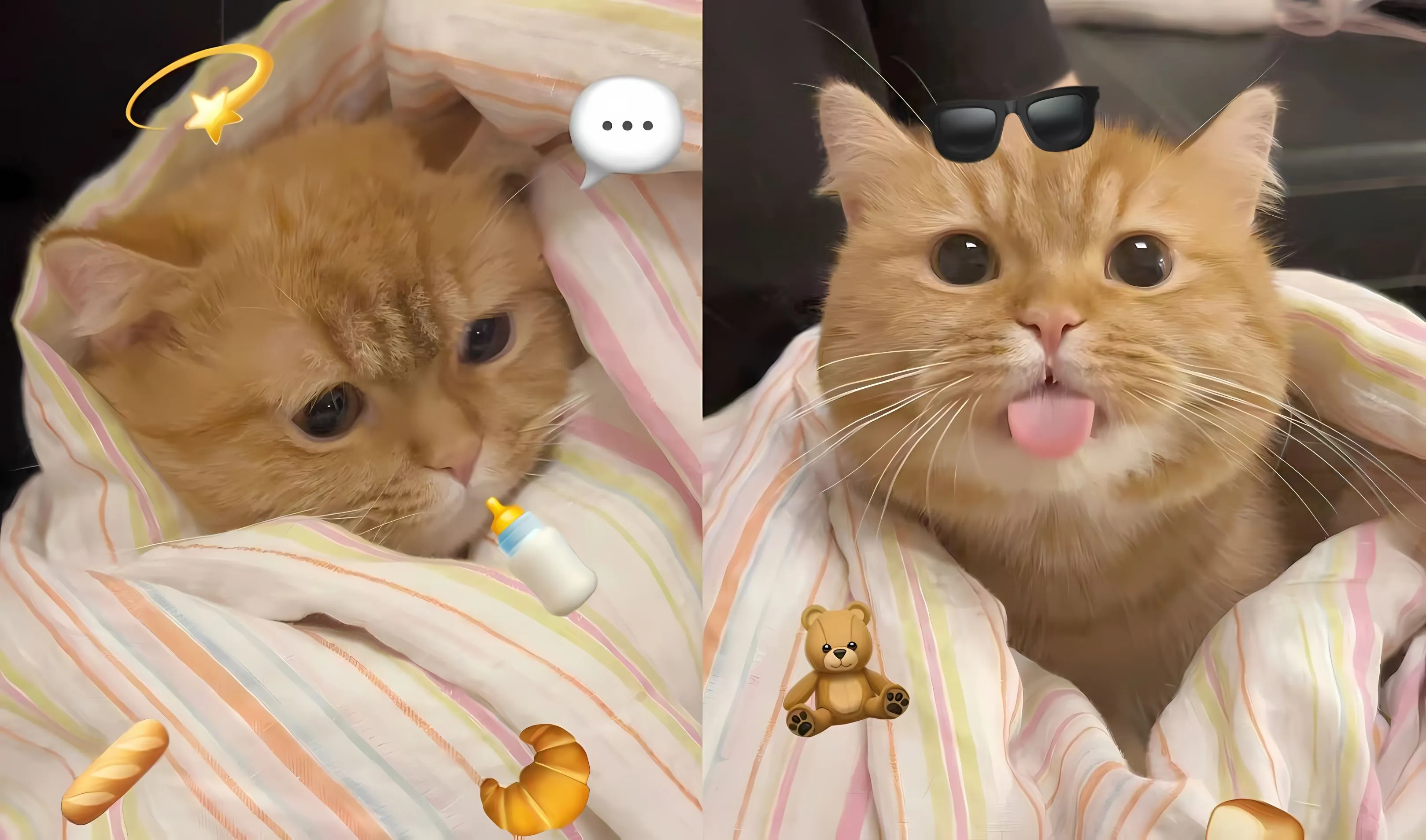 可爱 搞怪 动画 女生 小猫 猫猫 壁纸预览