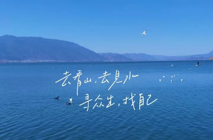 励志 ins风 上岸 文字 文案 整洁 壁纸预览