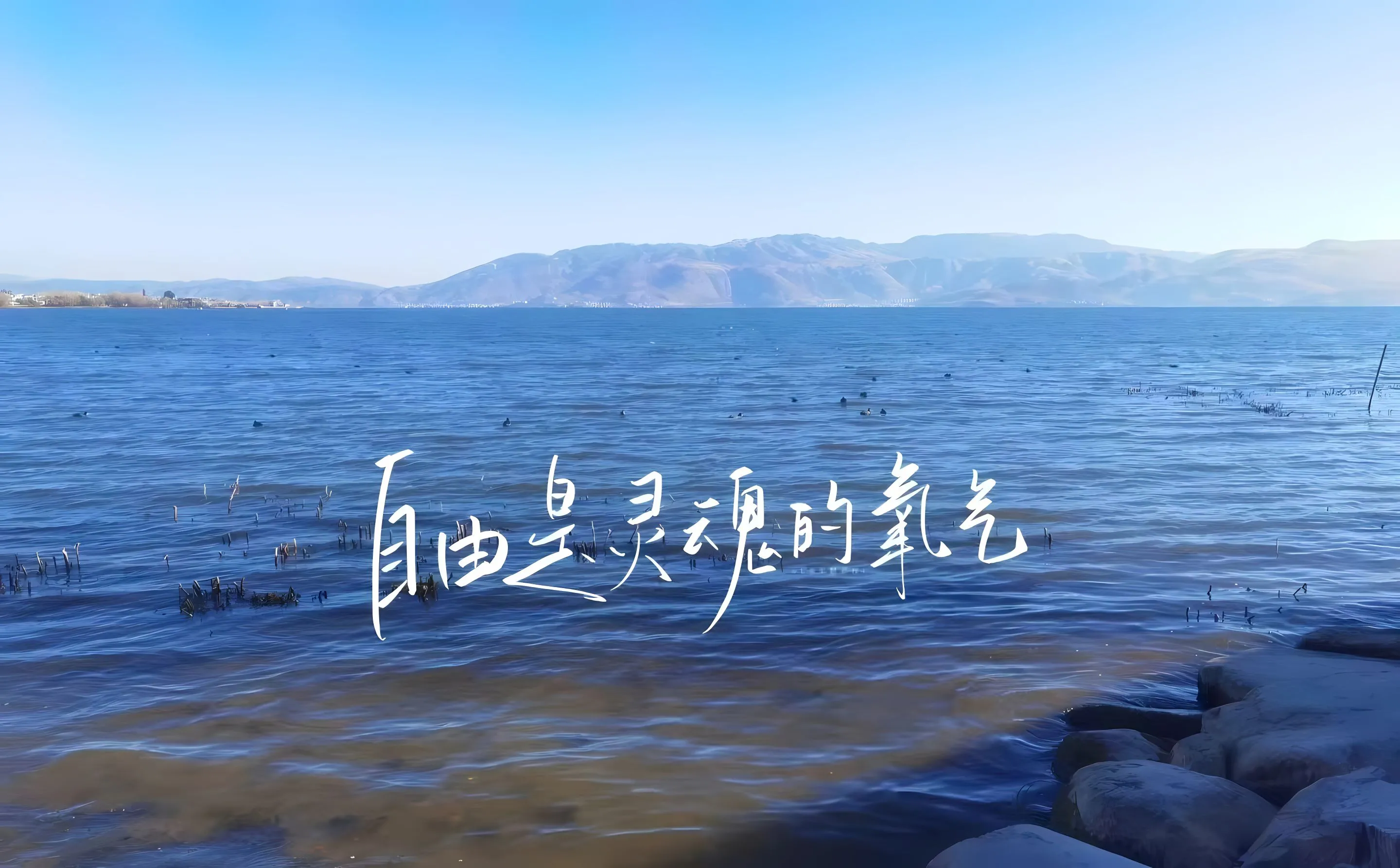 励志 ins风 唯美 大自然 夏日 护眼 壁纸预览