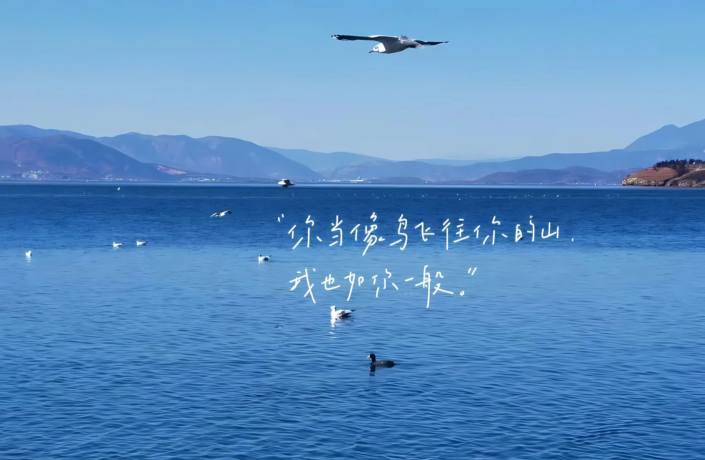 励志 ins风 唯美 大自然 夏日 护眼 壁纸预览