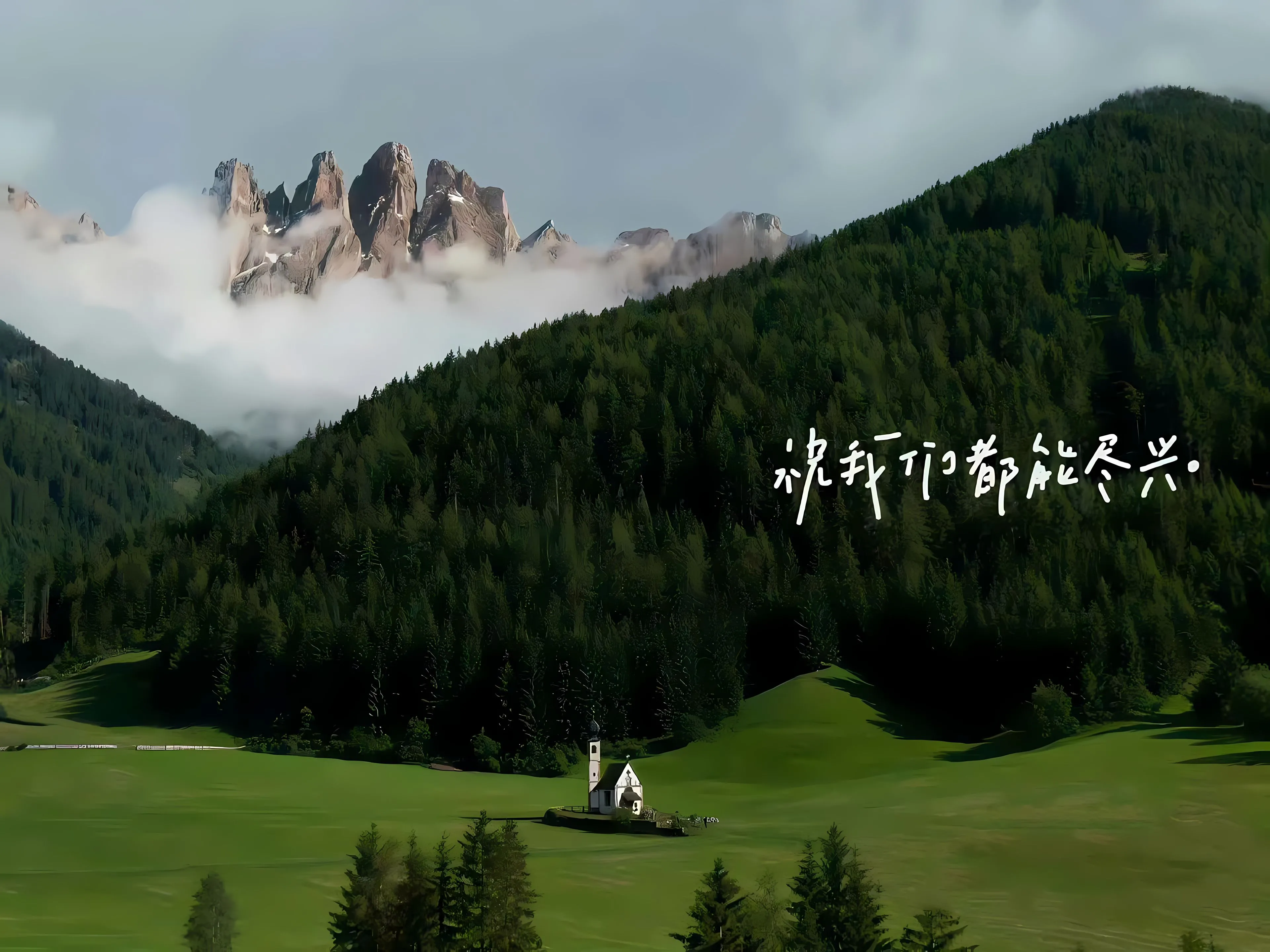 ins风 植物 风景 壁纸预览