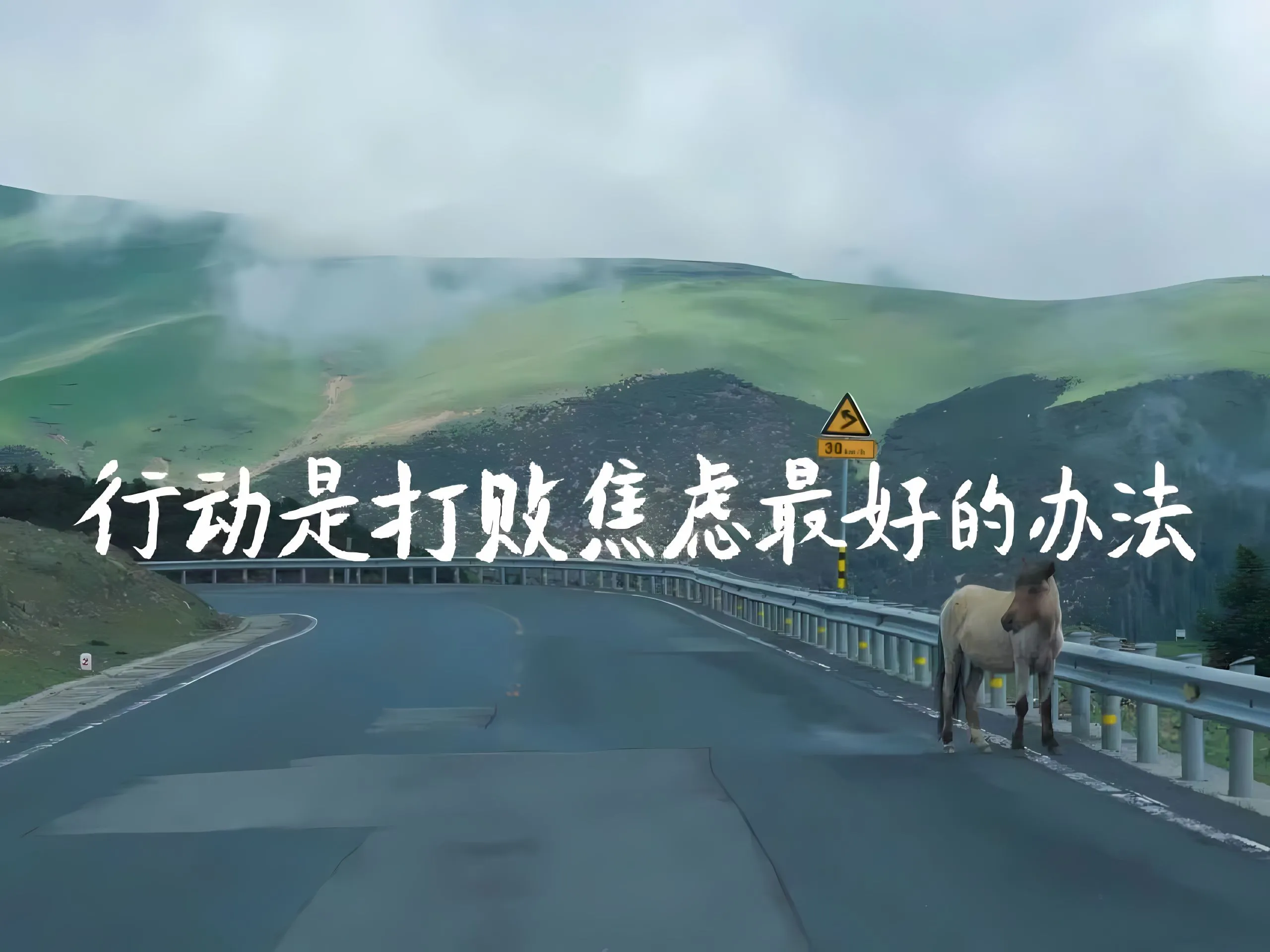 励志 绿色 壁纸预览