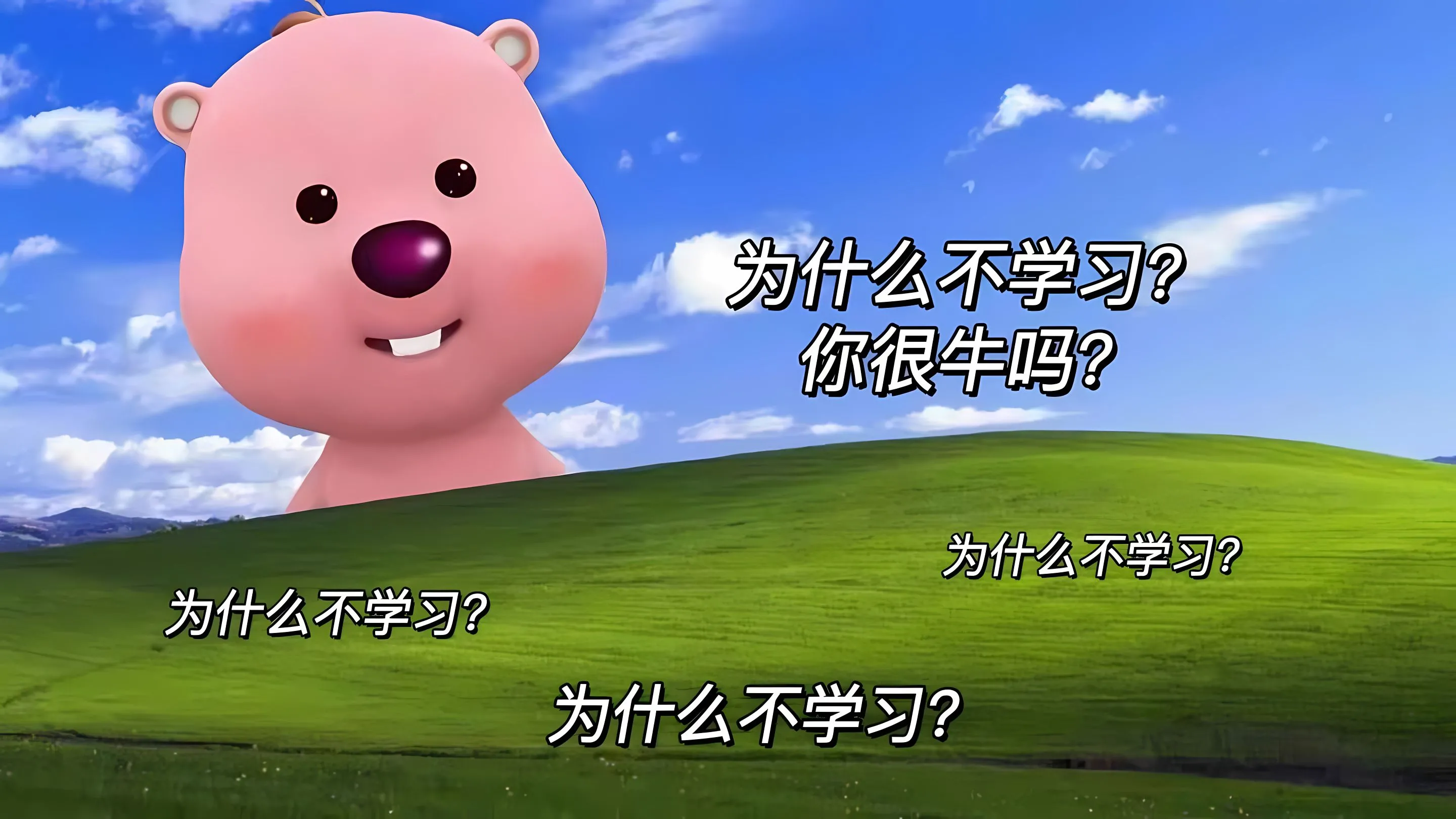 可爱 打工人 小海狸 loppy;小海狸 壁纸预览