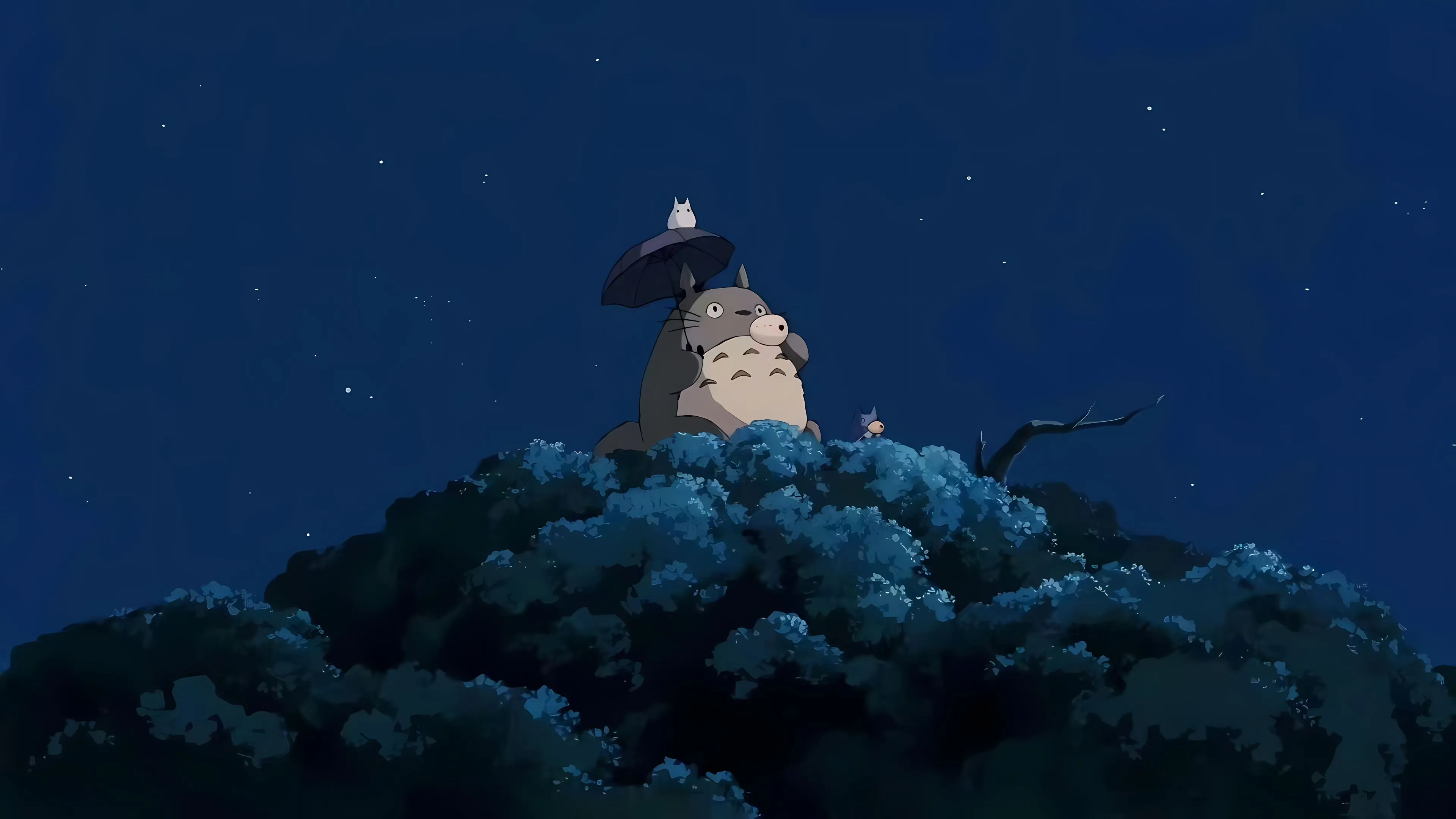 动漫 可爱 龙猫 宫崎骏 夜景 治愈 壁纸预览