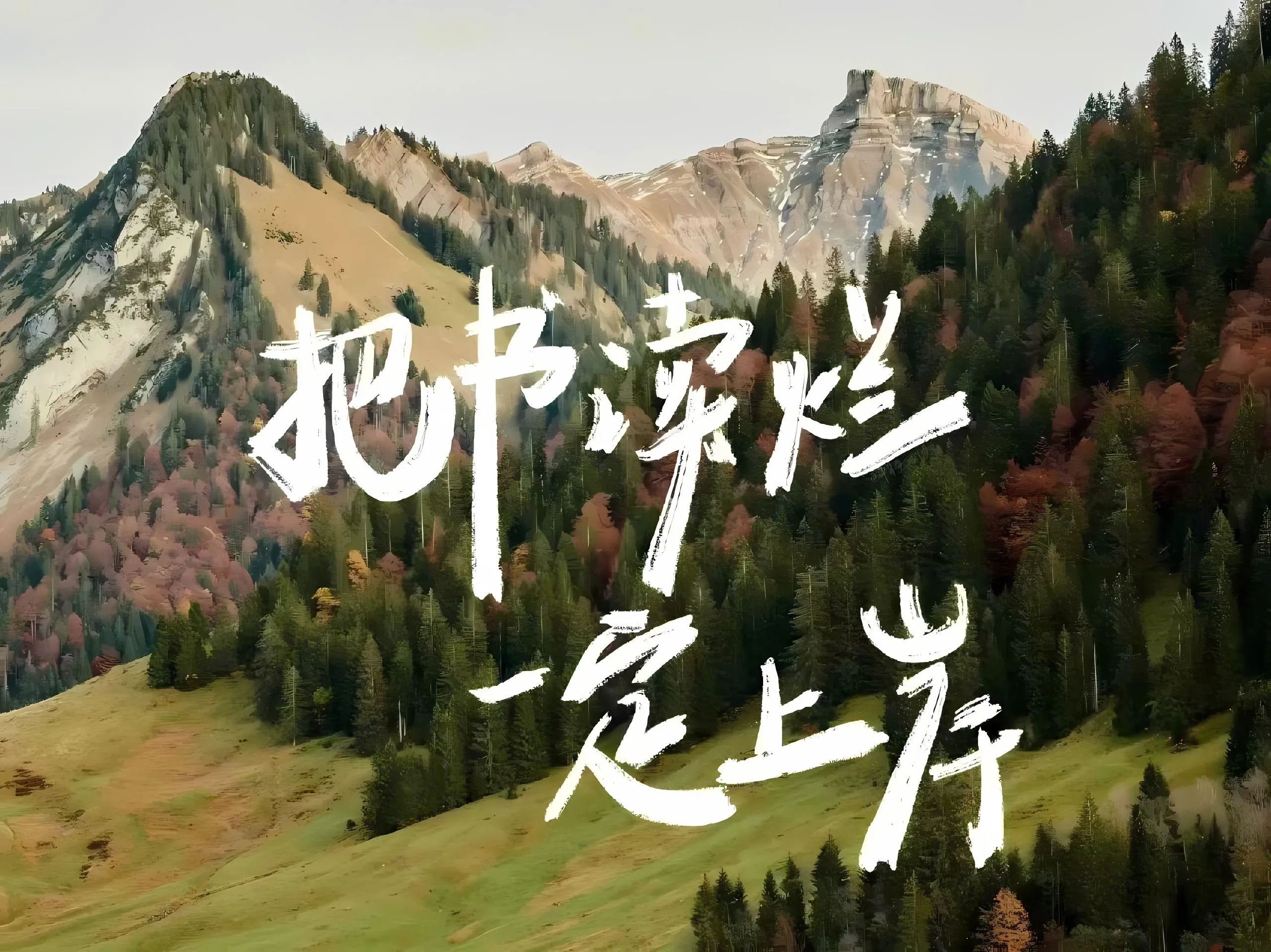 ins风 励志 文字 文案 上岸 壁纸预览