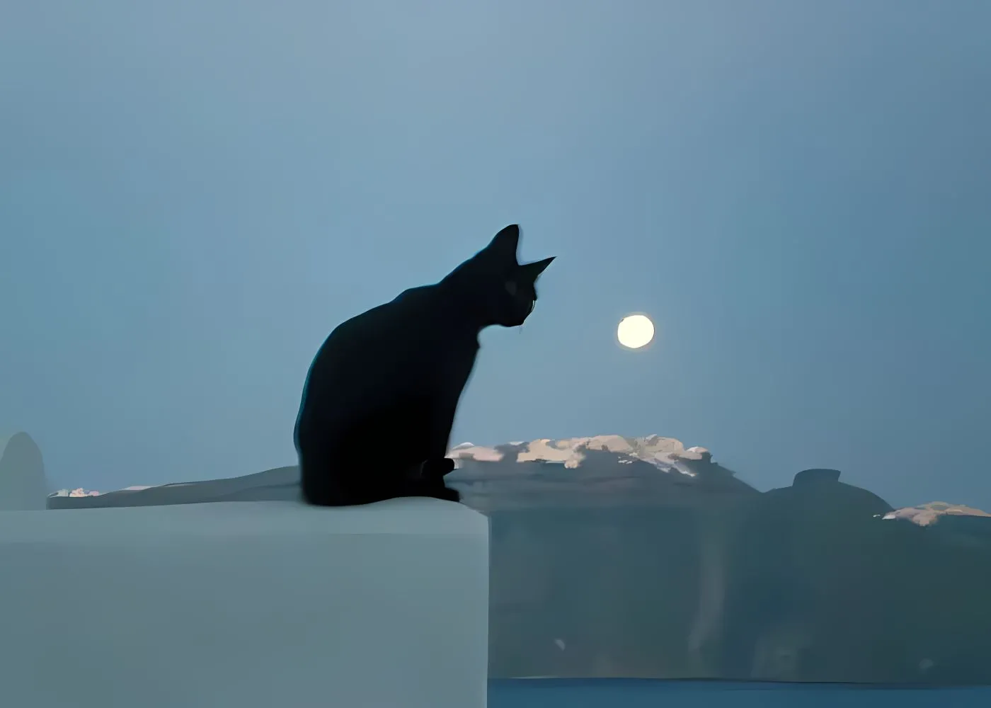 ins风 动物 小动物 可爱 小猫 壁纸预览
