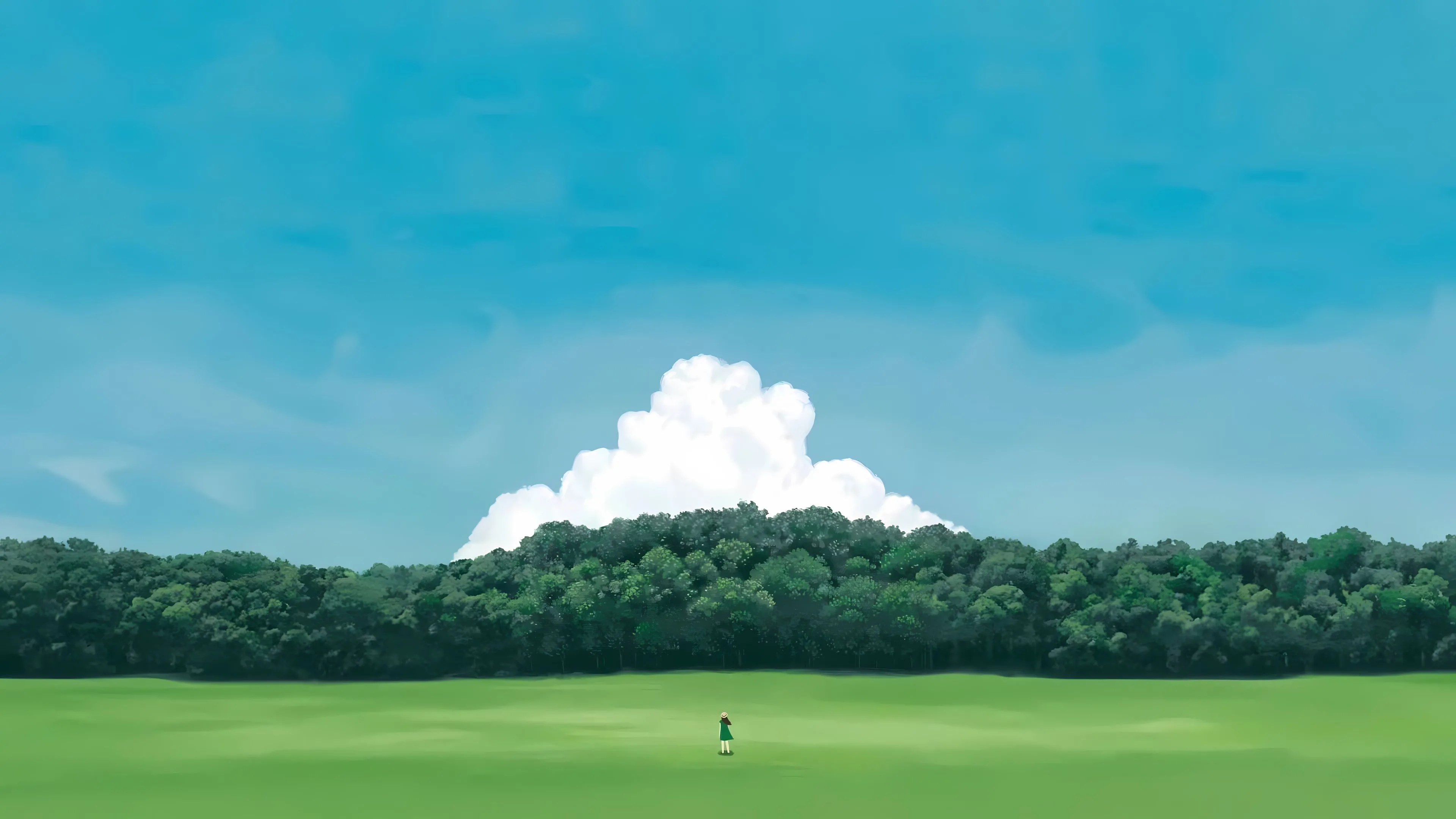 植物 豁达 风景 旅行 沿途风景 高级 壁纸预览