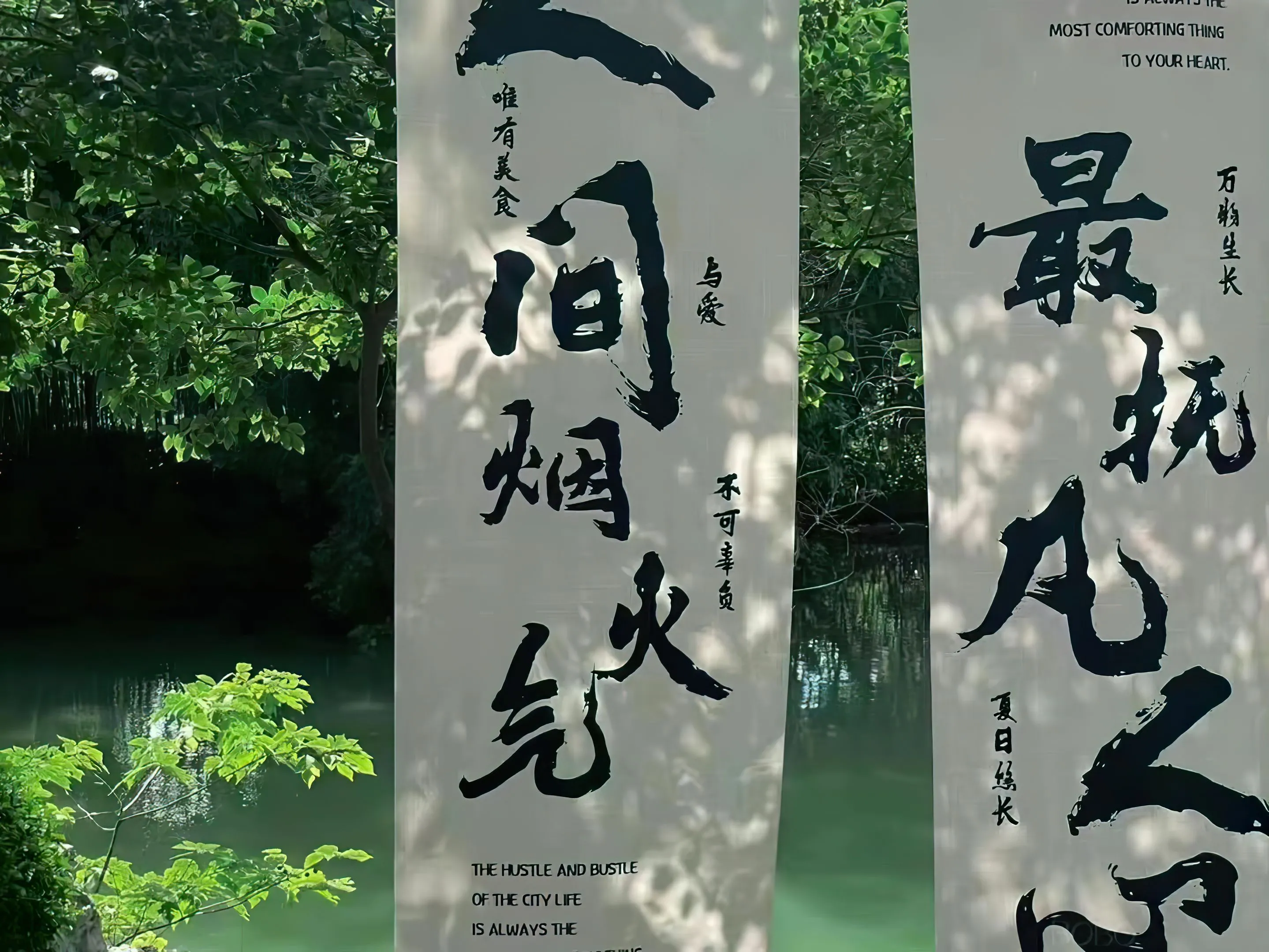 ins风 植物 唯美 花 壁纸预览