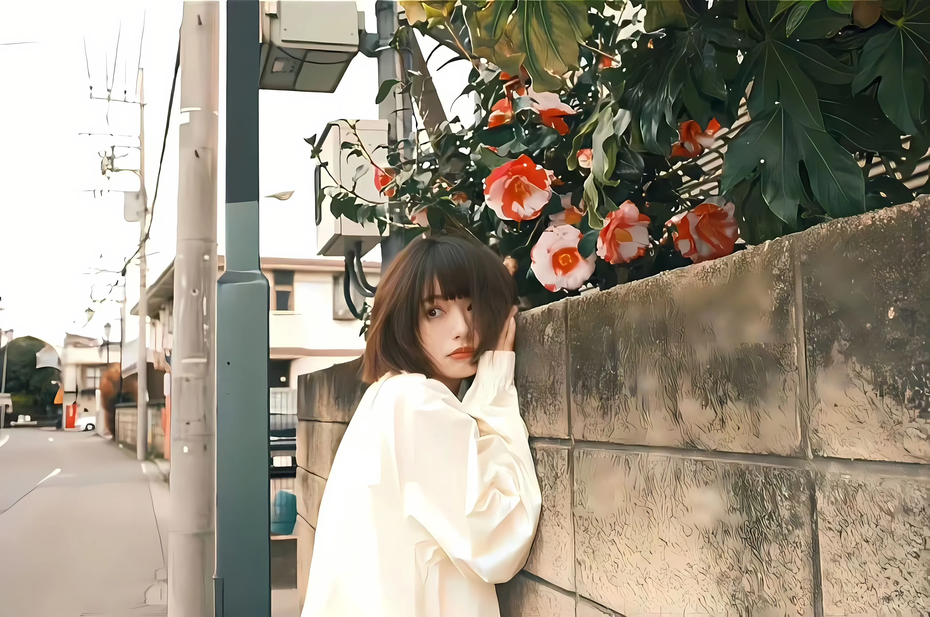 ins风 欧美 风景 感觉 干净 氛围感 壁纸预览