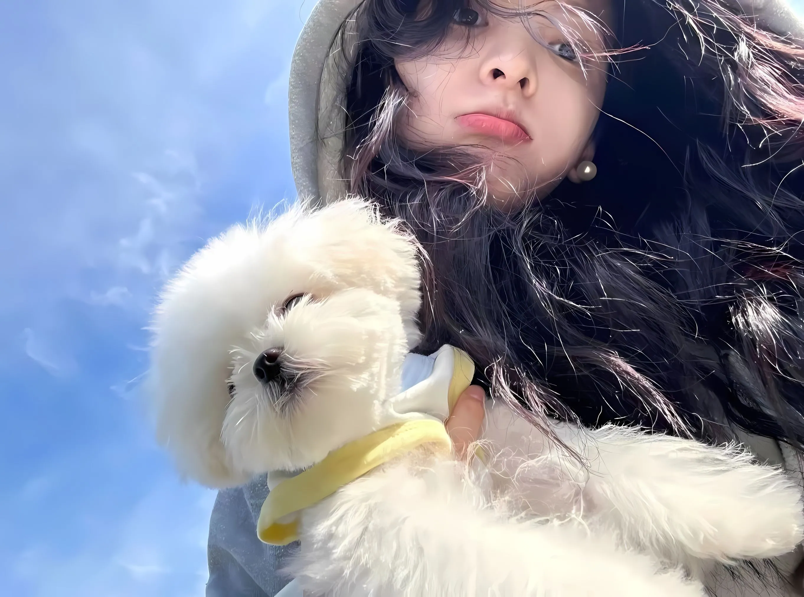 明星 美女 女明星 章若楠 壁纸预览