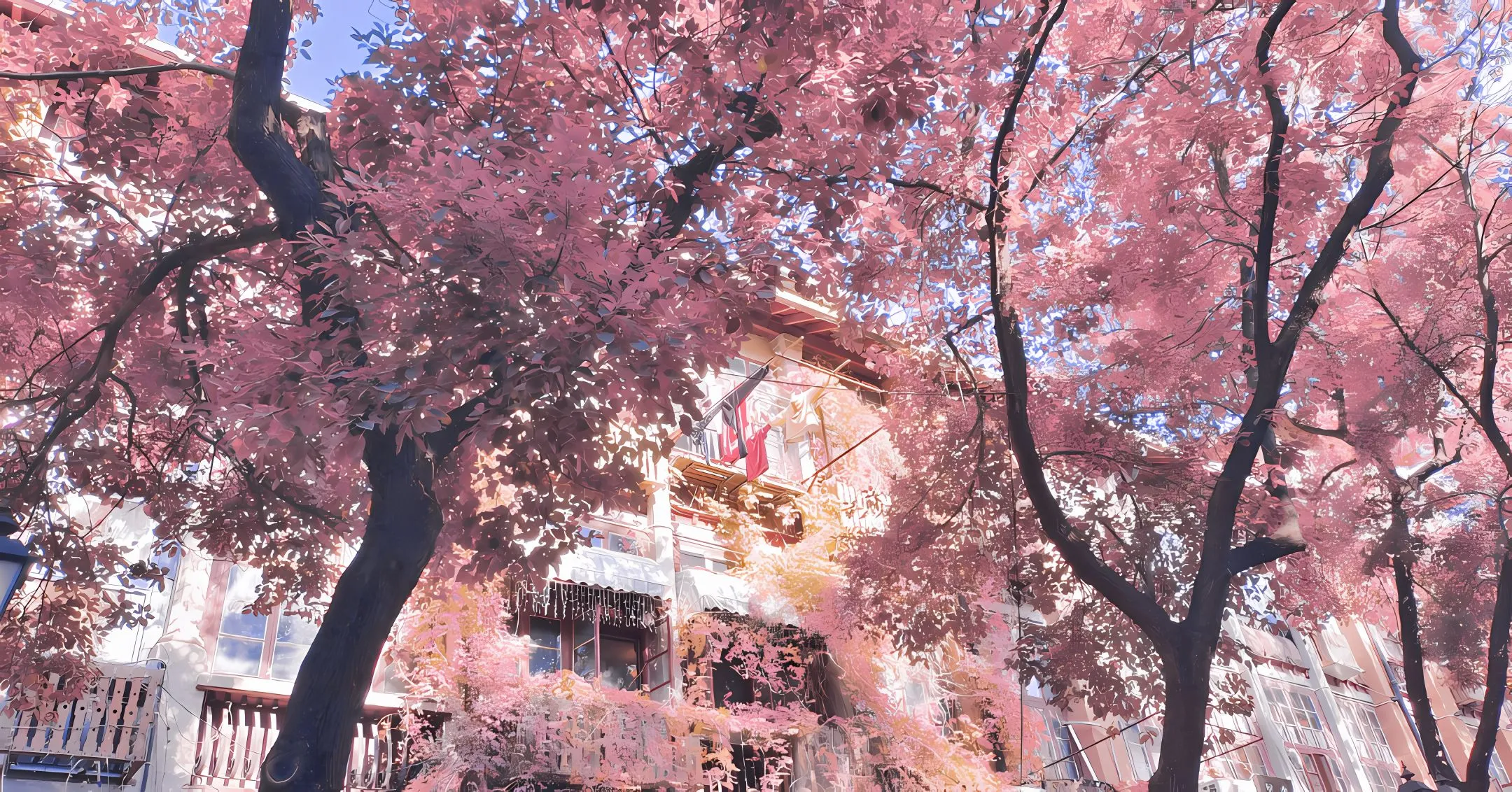动漫 植物 风景 小清新 治愈 氛围 壁纸预览