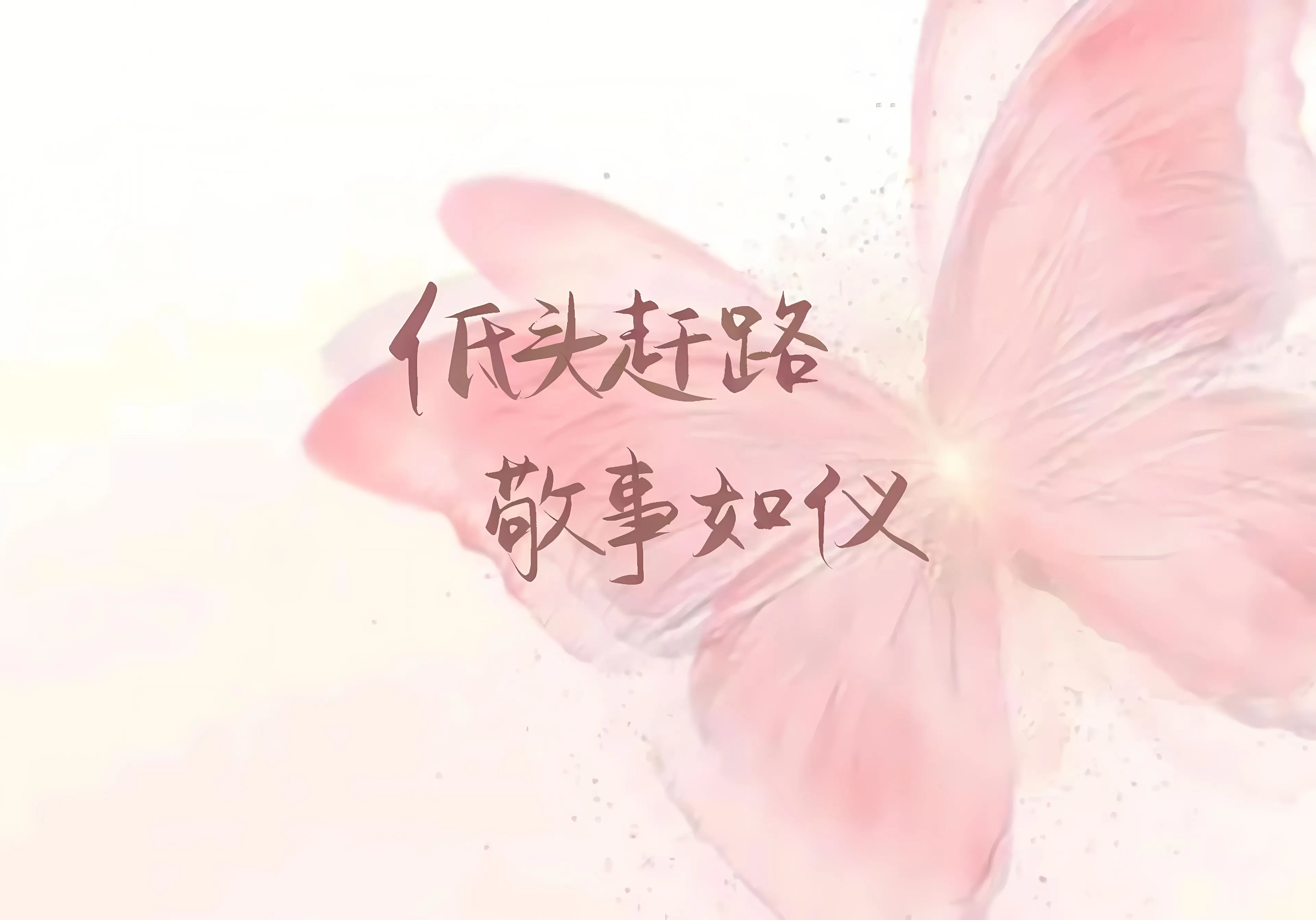 ins风 励志 文案 努力 光 高清 壁纸预览