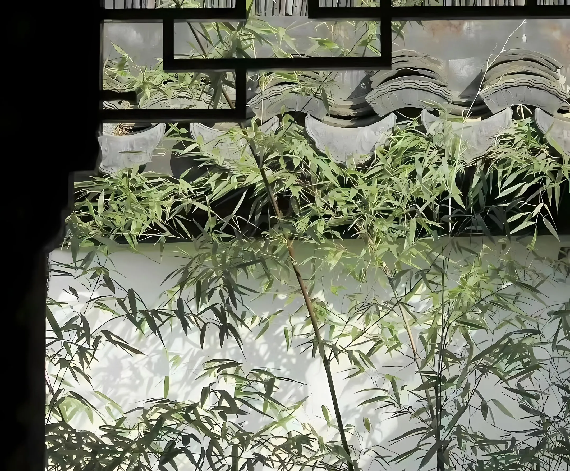 ins风 植物 古风 韵味 干净 感觉 壁纸预览