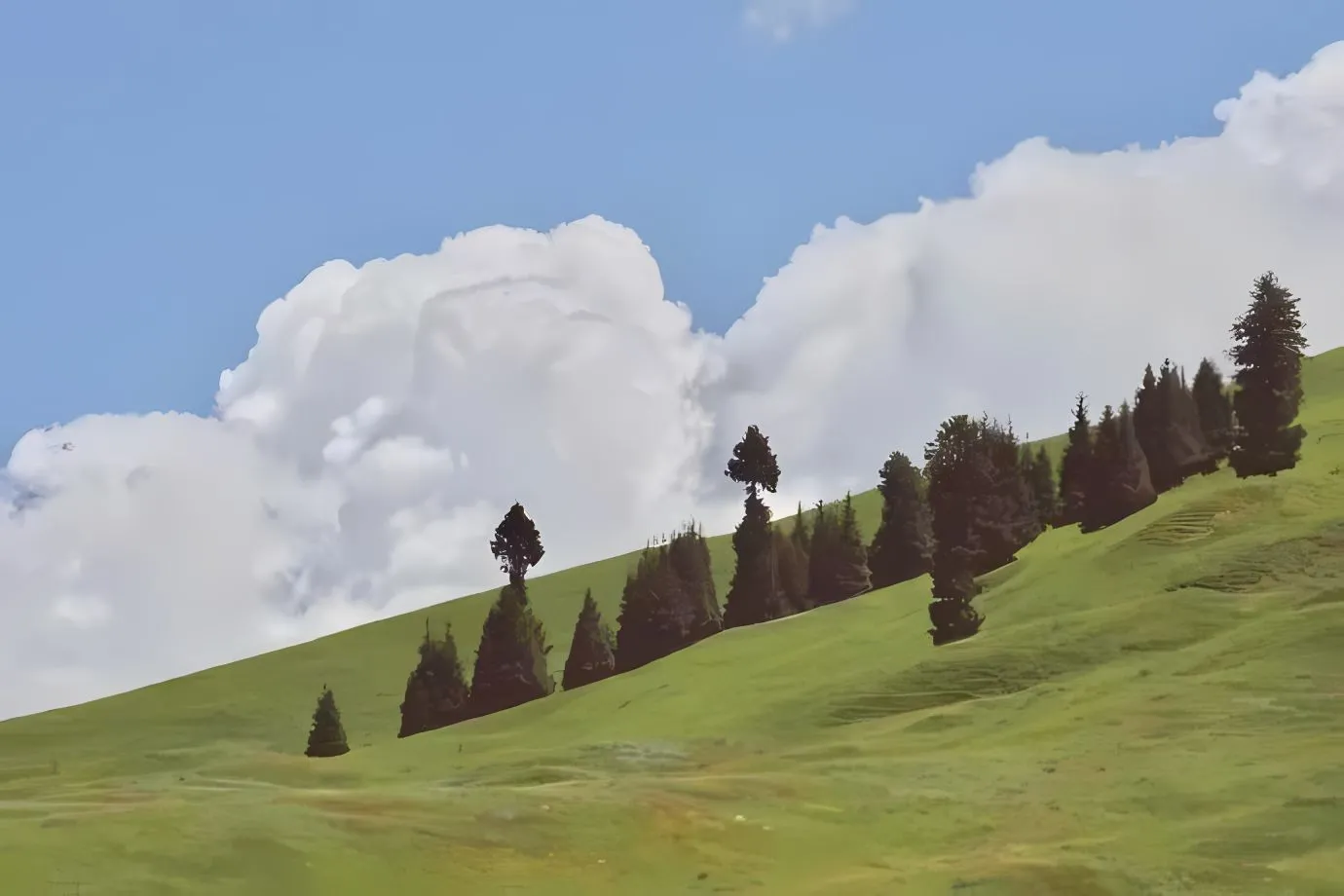 ins风 风景 治愈 唯美 高级 草地 壁纸预览
