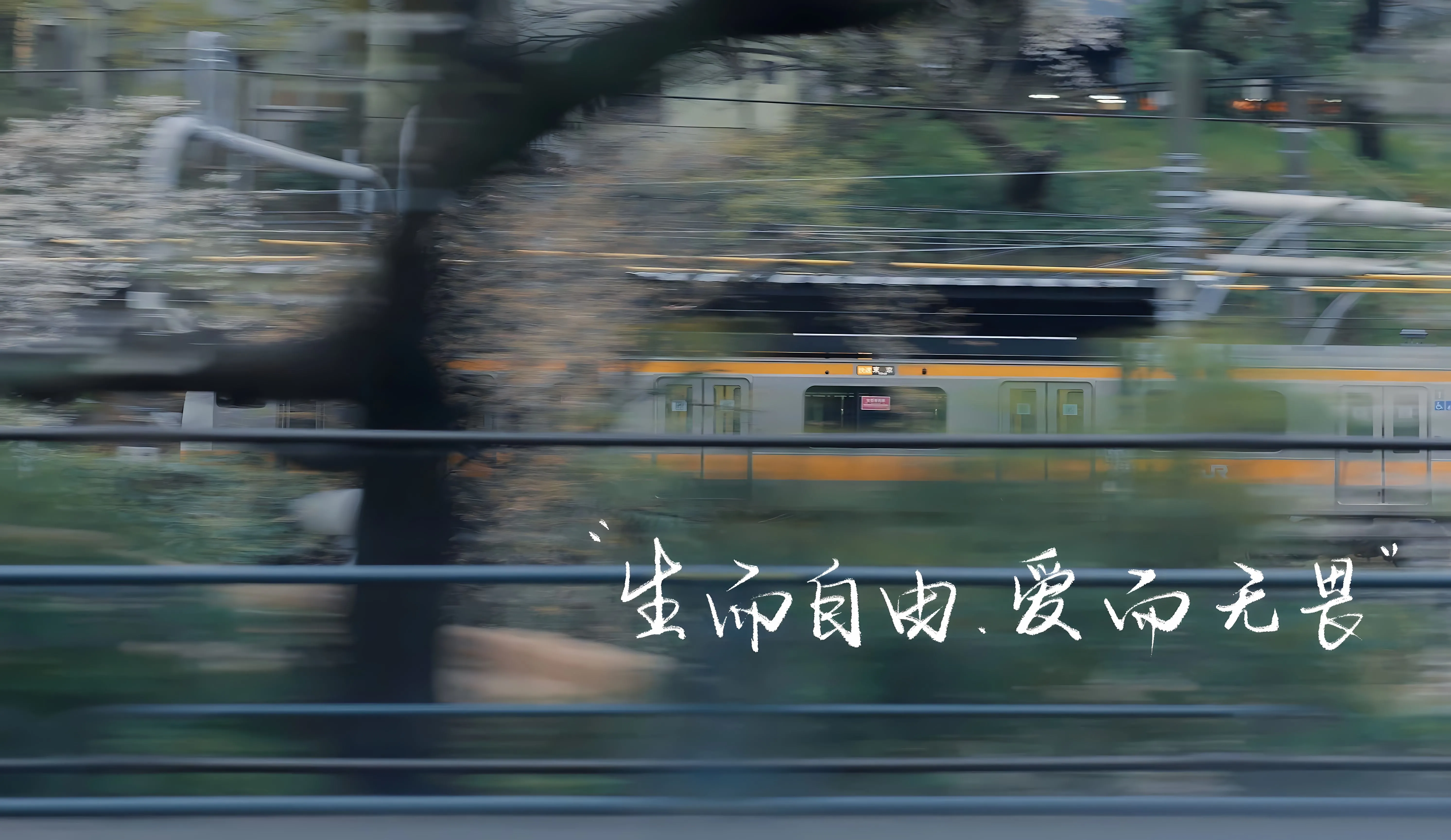 ins风 励志 风景 文案 简约 高质量 壁纸预览
