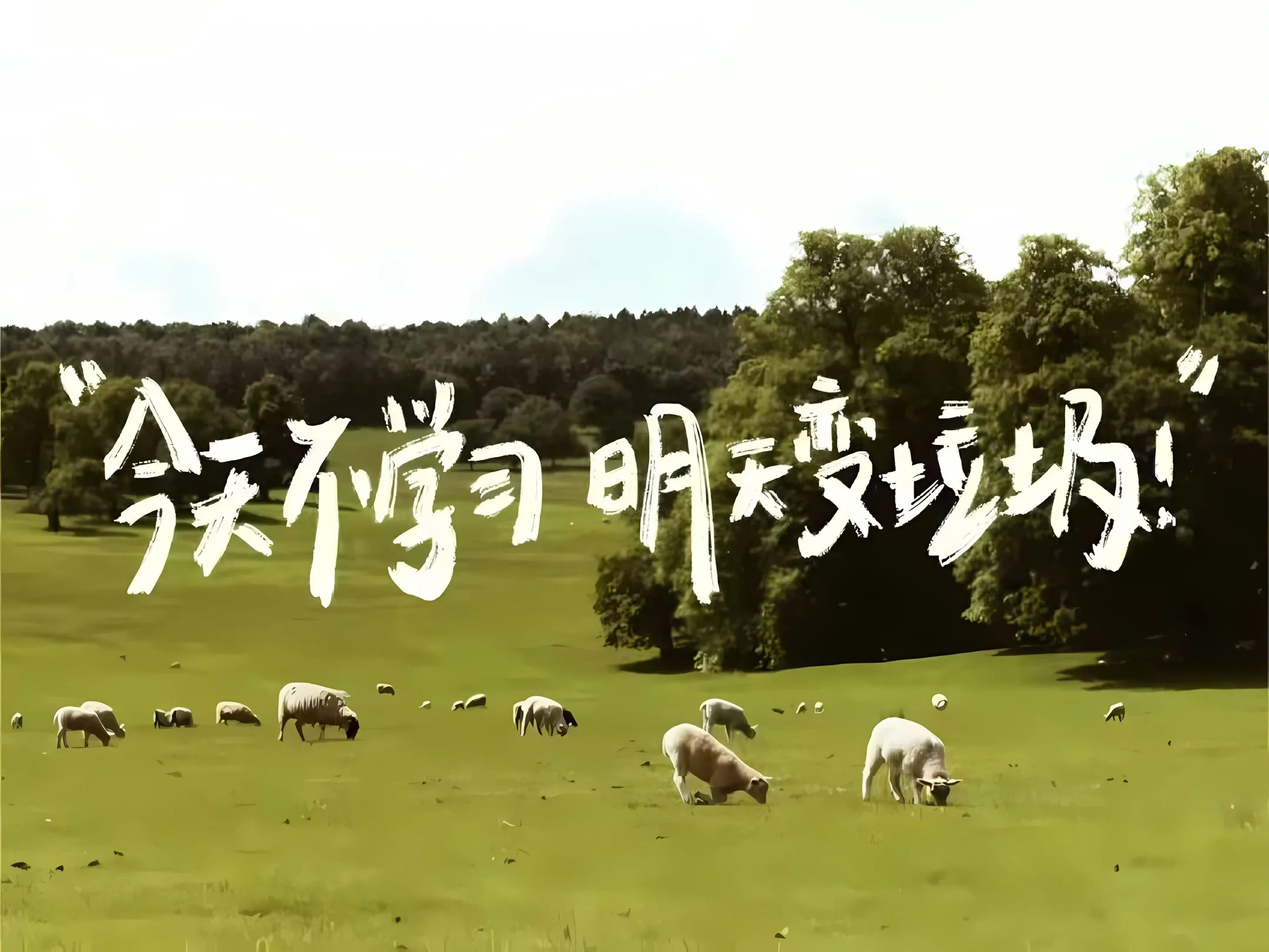 ins风 励志 文字 学习 学习专用 打工人 壁纸预览