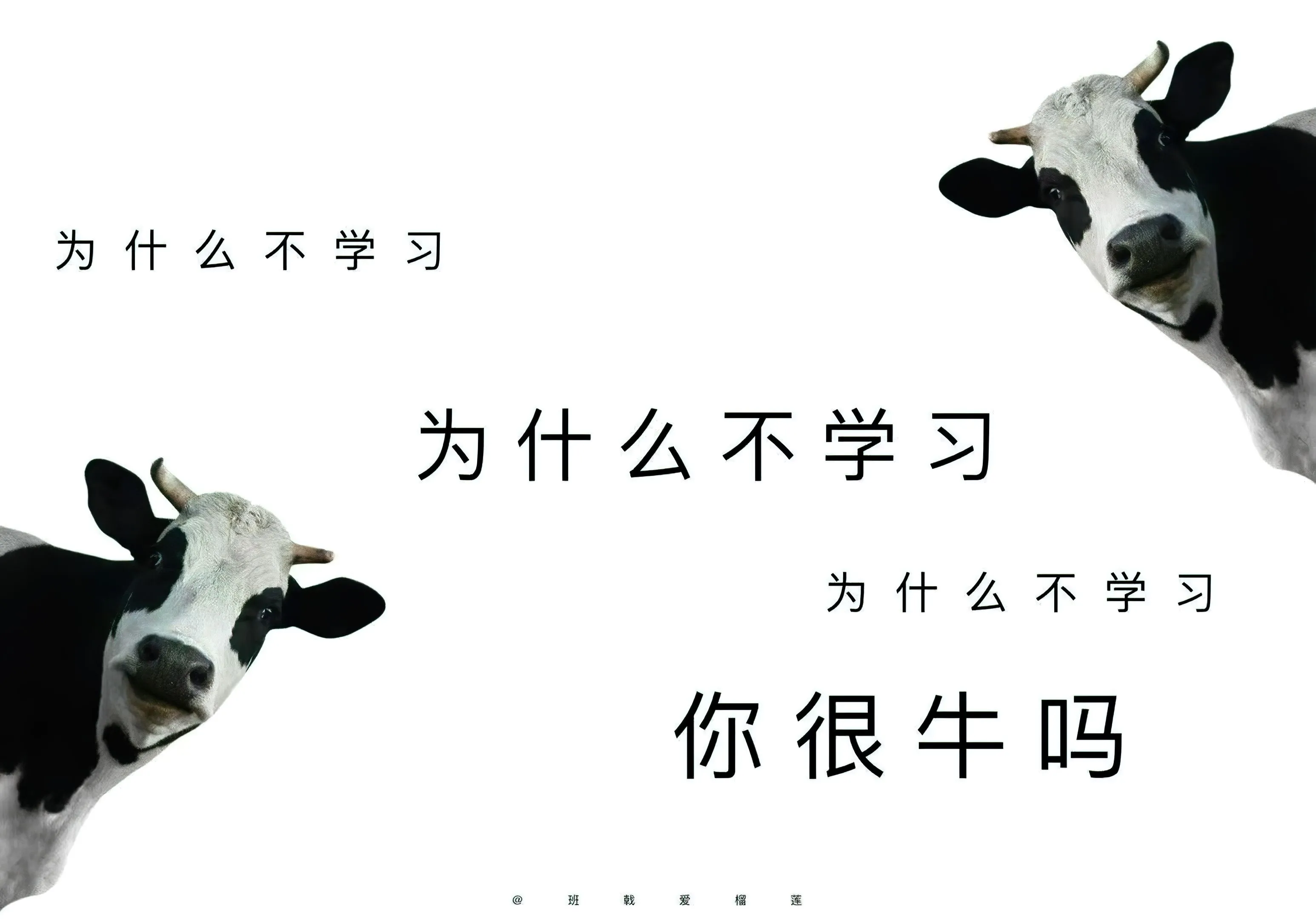 励志 搞怪 学习 学习专用 壁纸预览