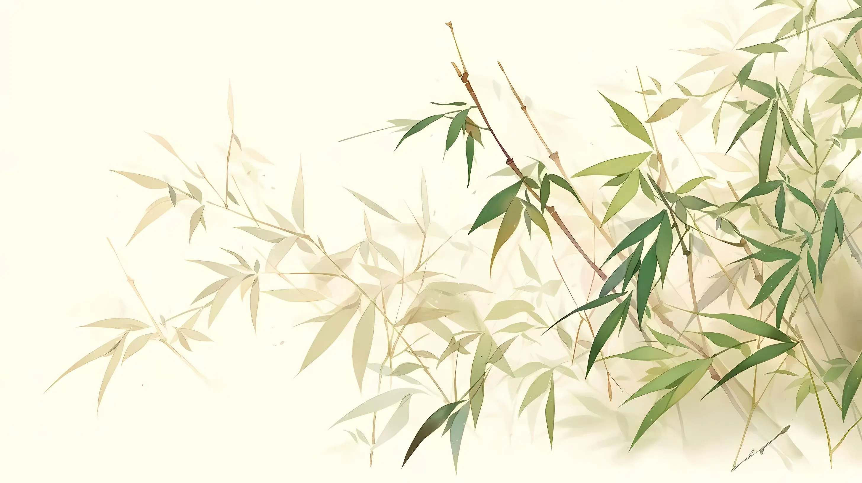 植物 竹子 氛围 风景 壁纸预览