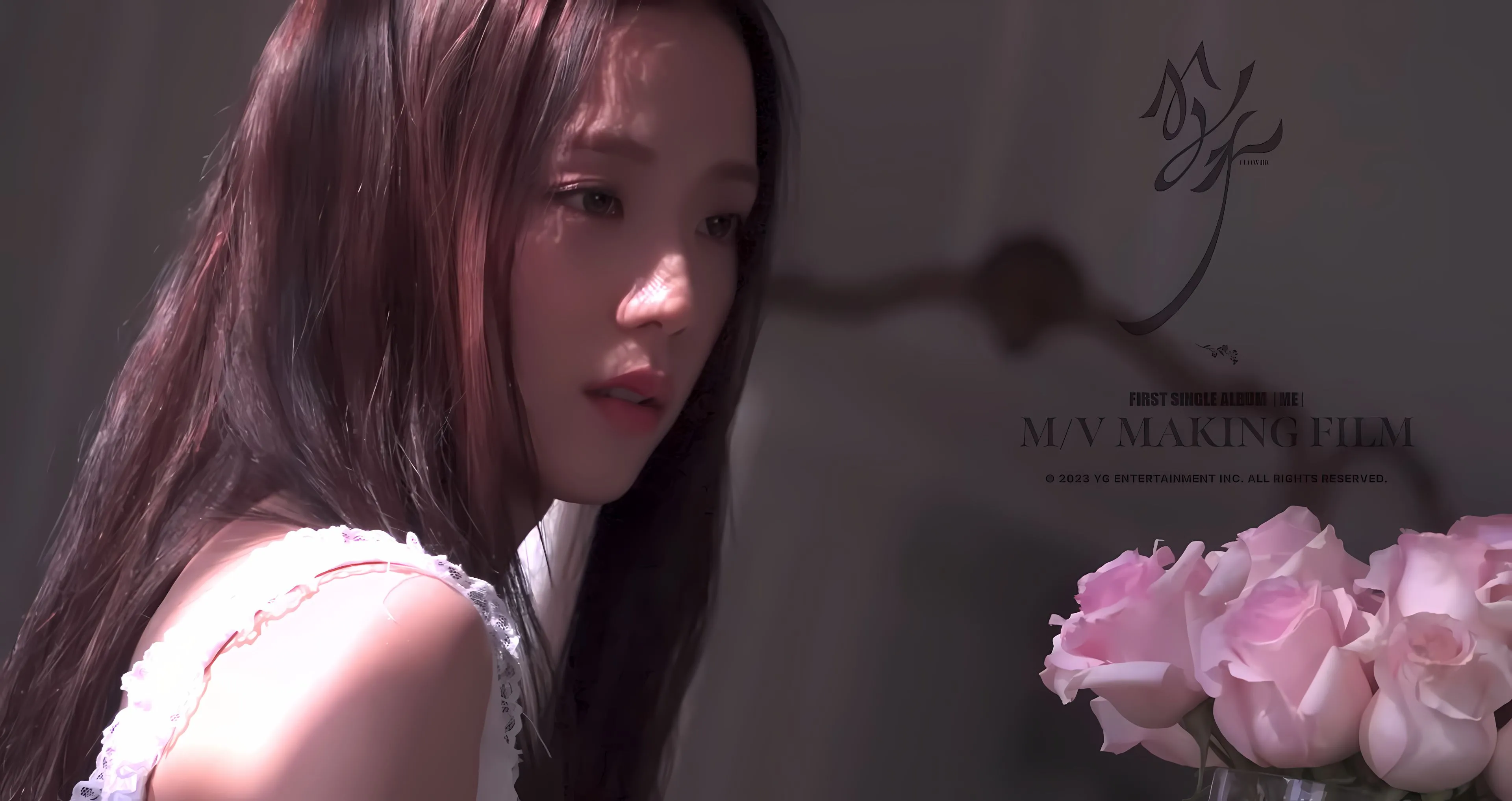 美女 明星 女明星 金智秀 壁纸预览