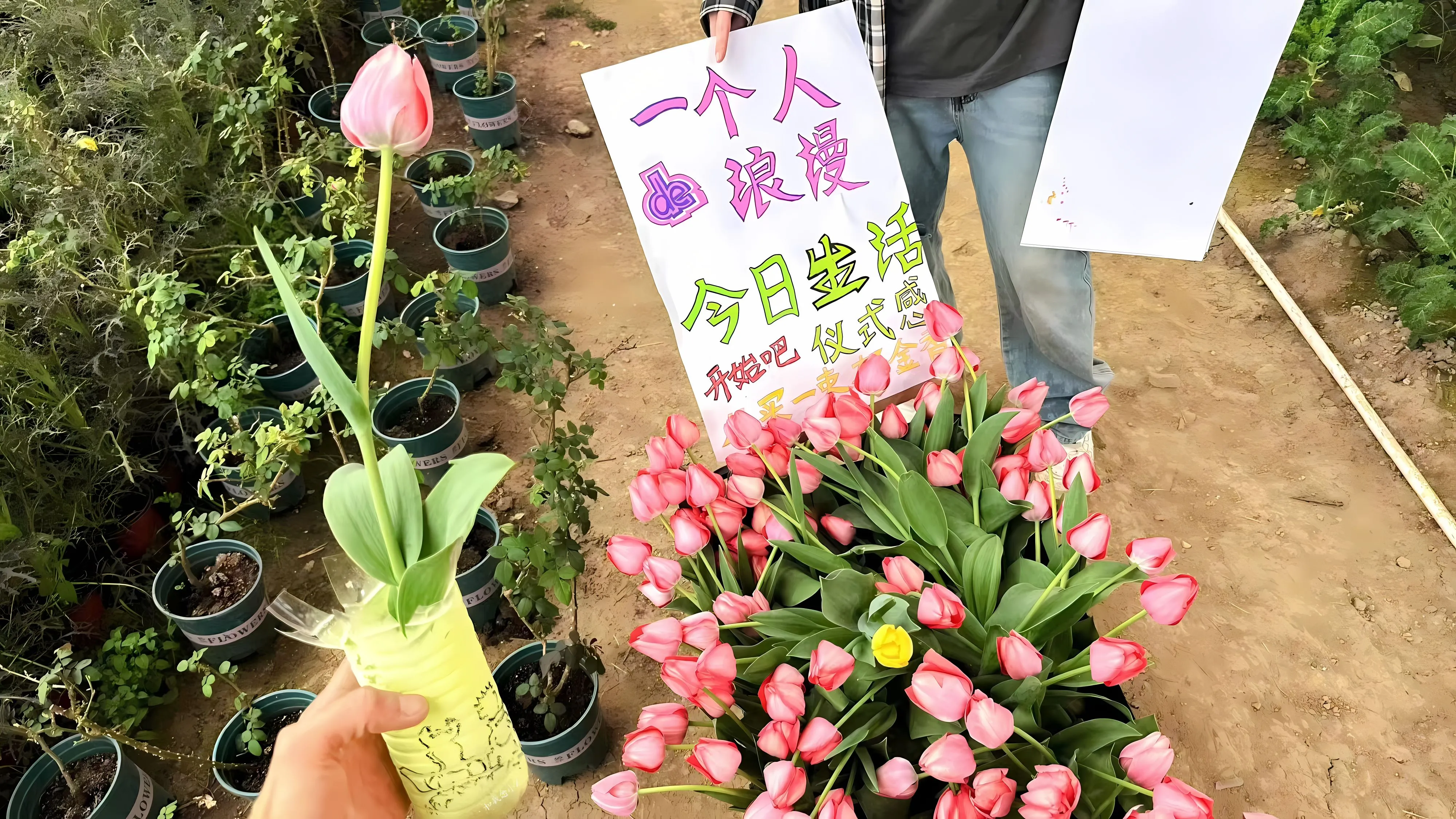 影视 帅哥 种地吧少年 风景 治愈 壁纸预览