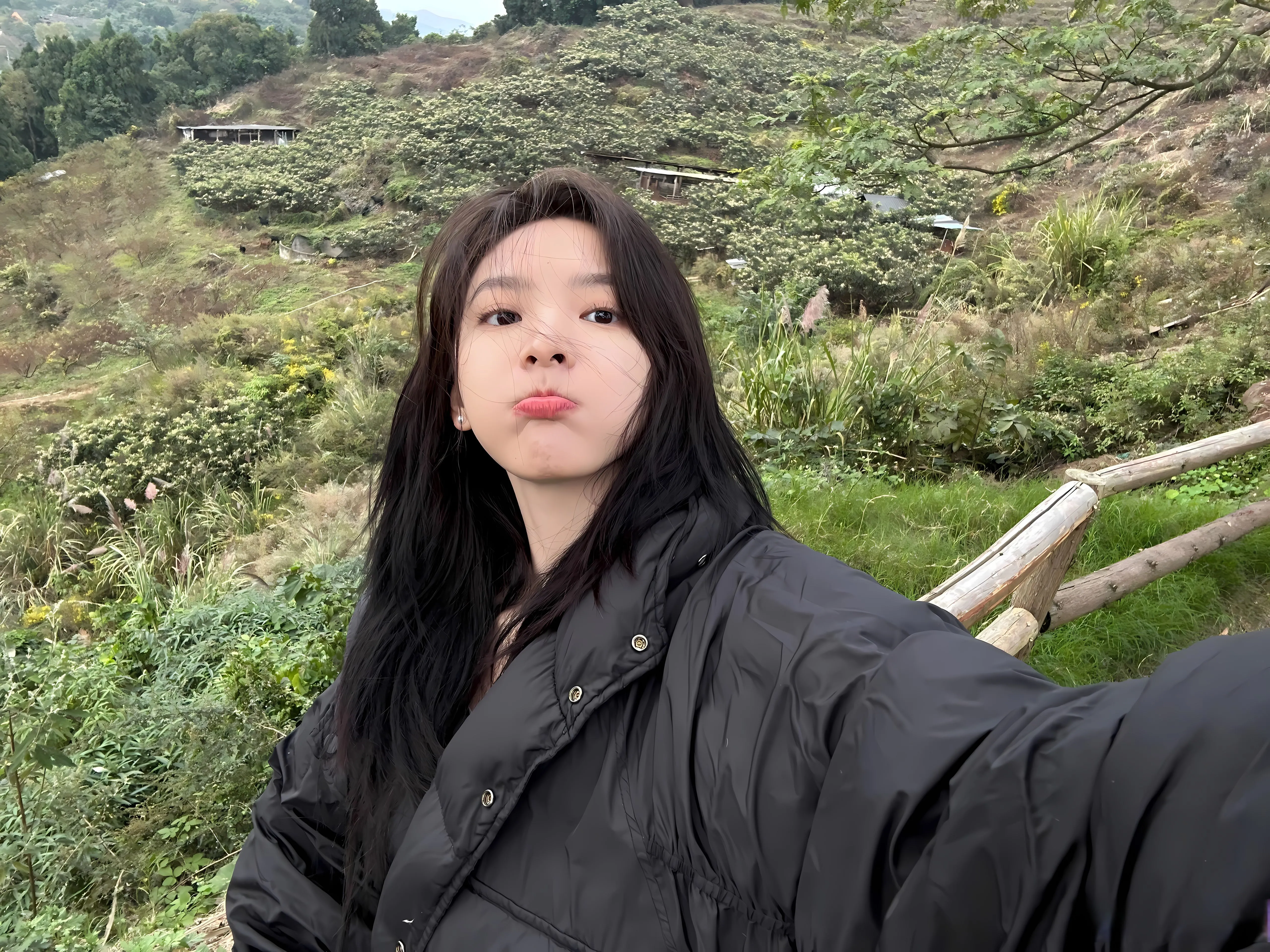 明星 美女 章若楠 女明星 壁纸预览