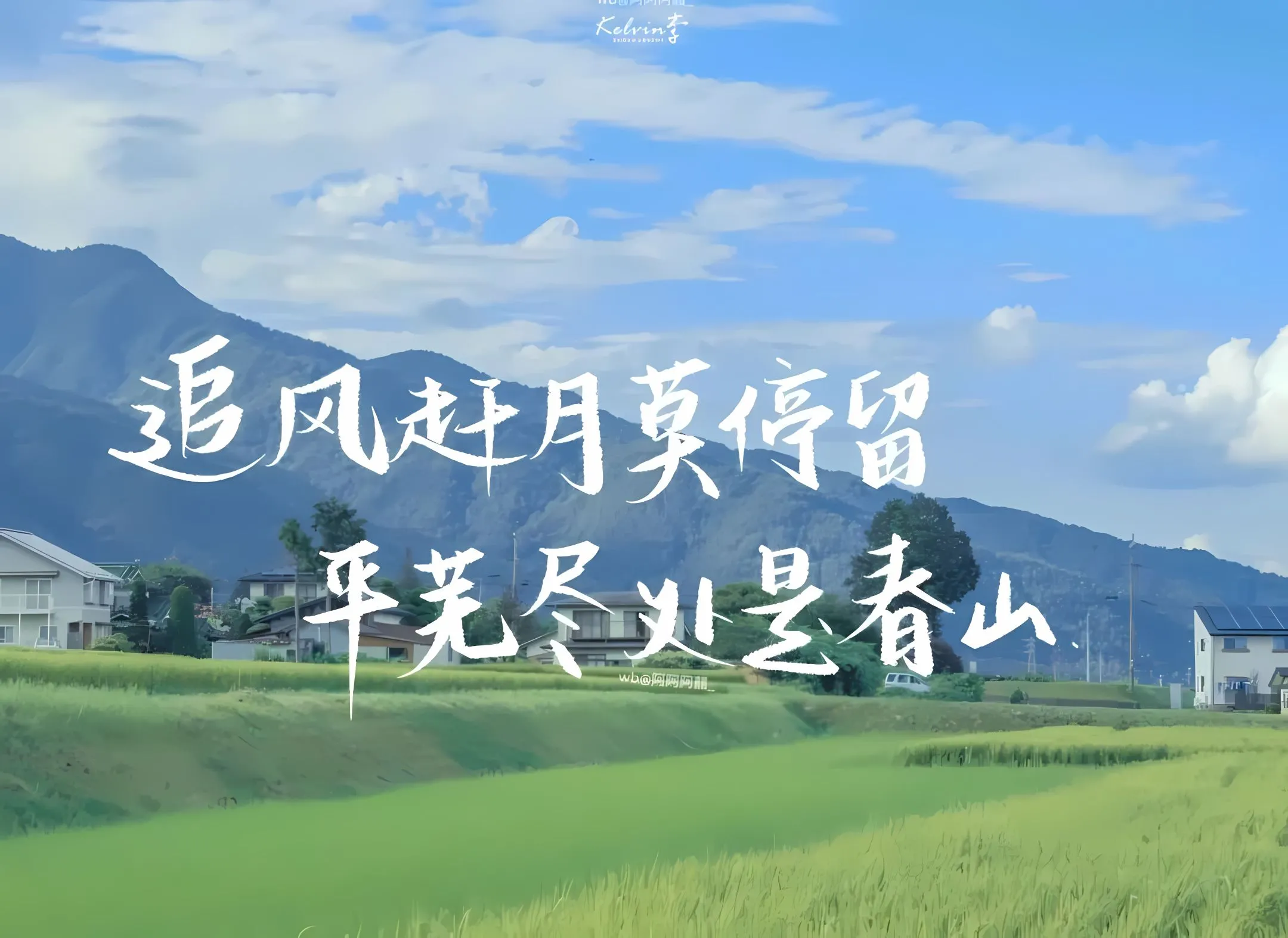 励志 上岸 努力 壁纸预览