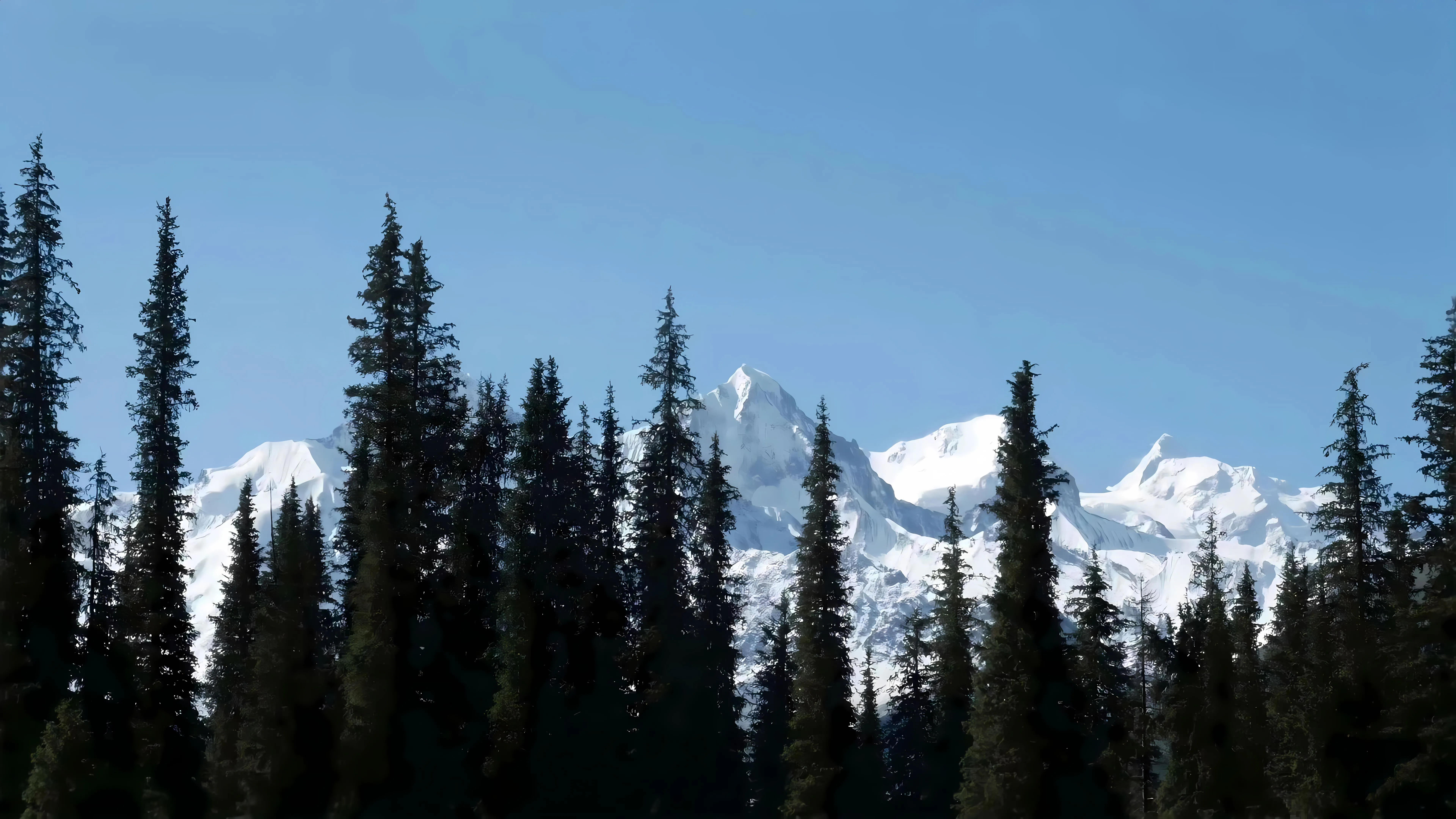 影视 我的阿勒泰 风景 壁纸预览
