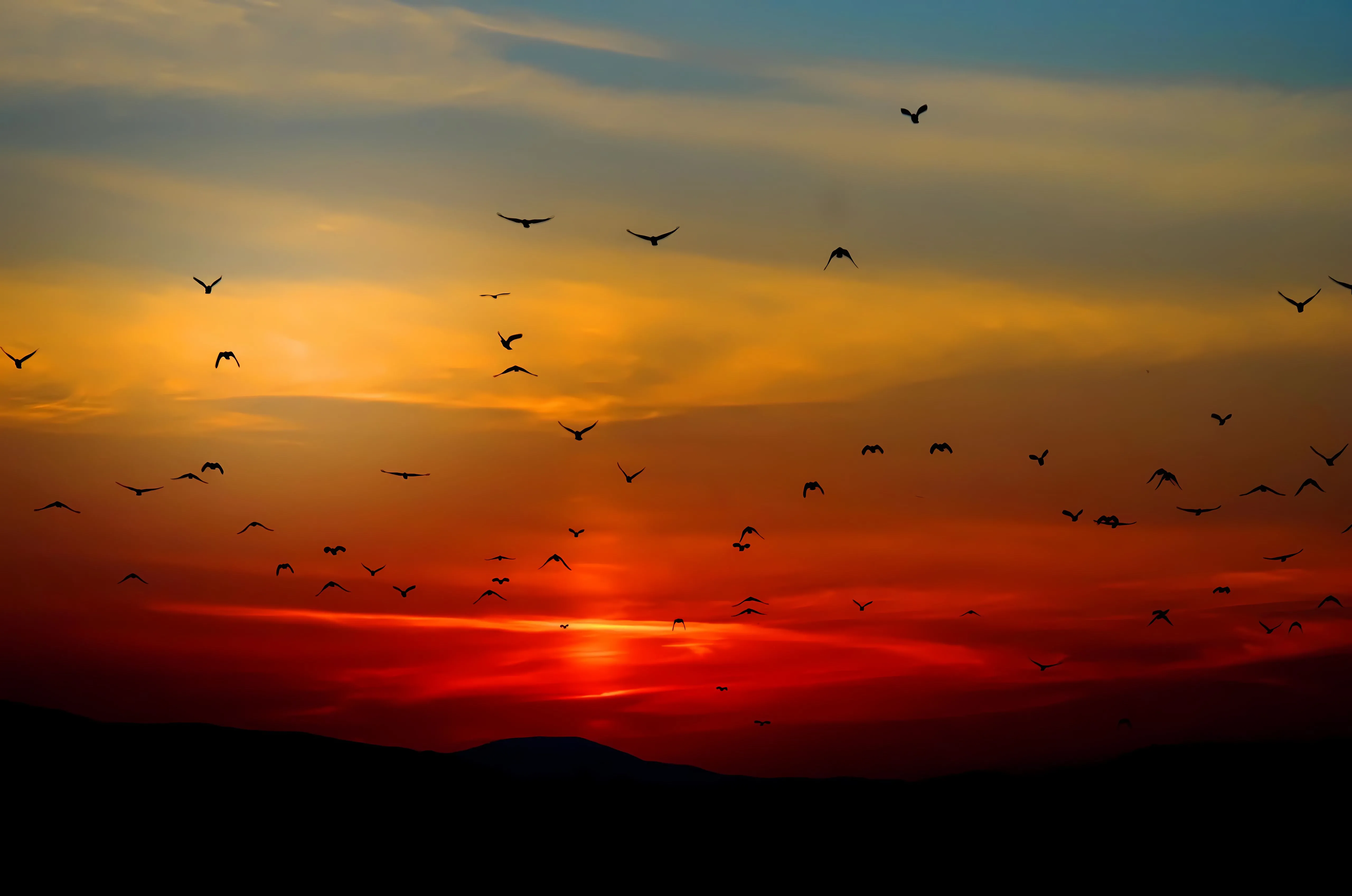 风景 夕阳 落日 氛围感 壁纸预览