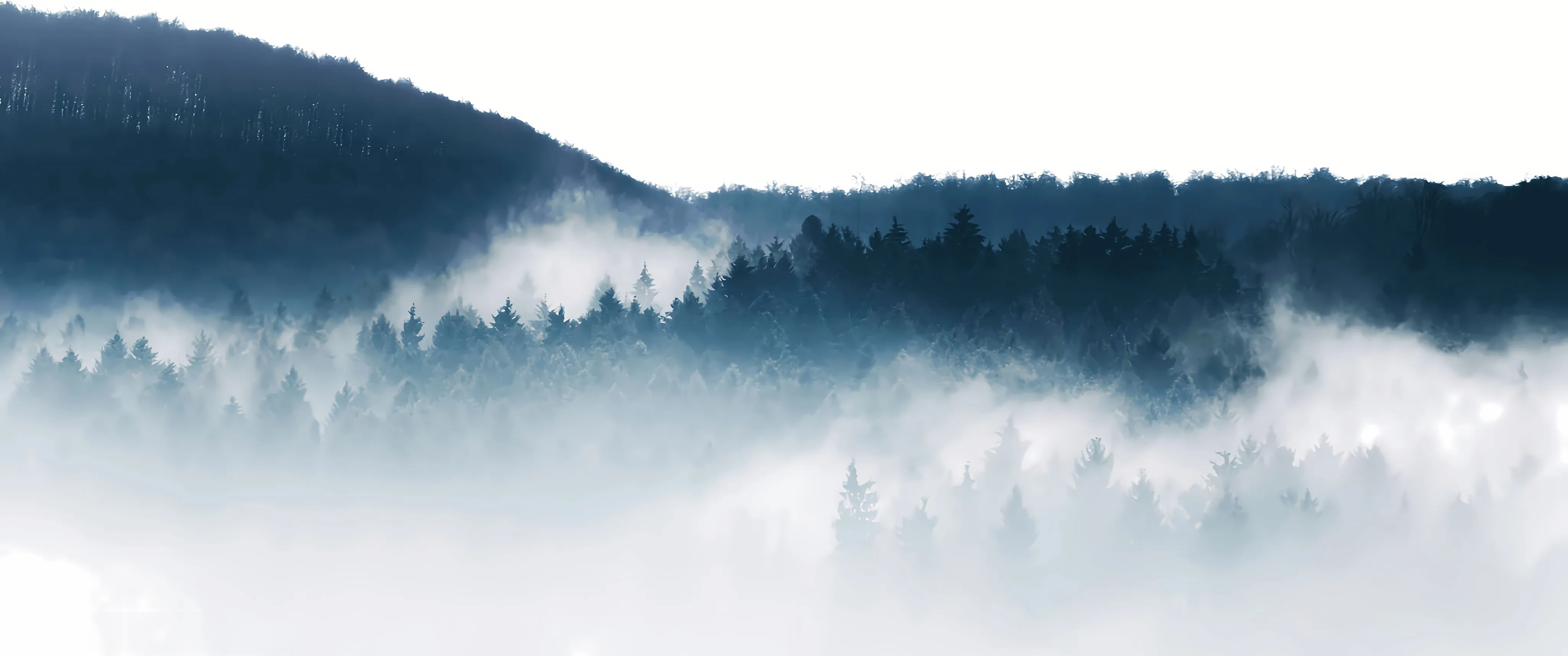 风景 山间 林间 雾 治愈 大自然 壁纸预览