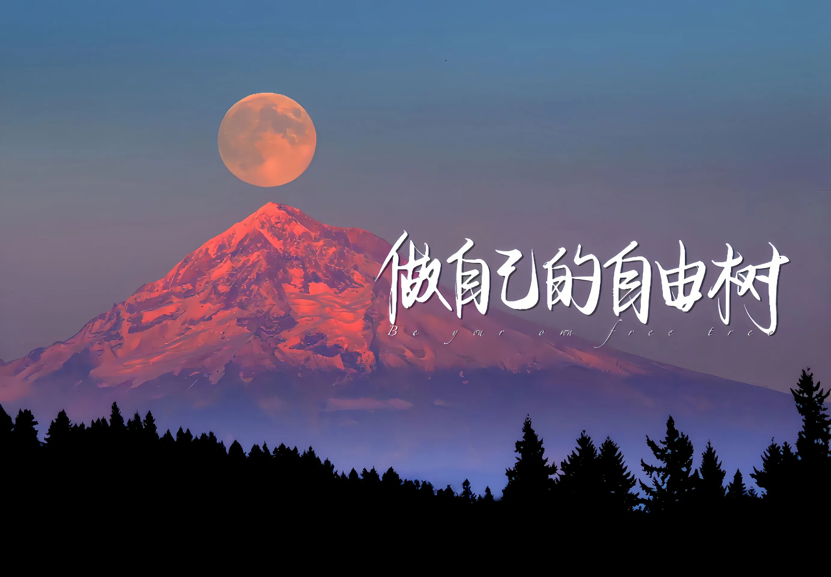 风景 励志 做自己自由的树 文字 壁纸预览