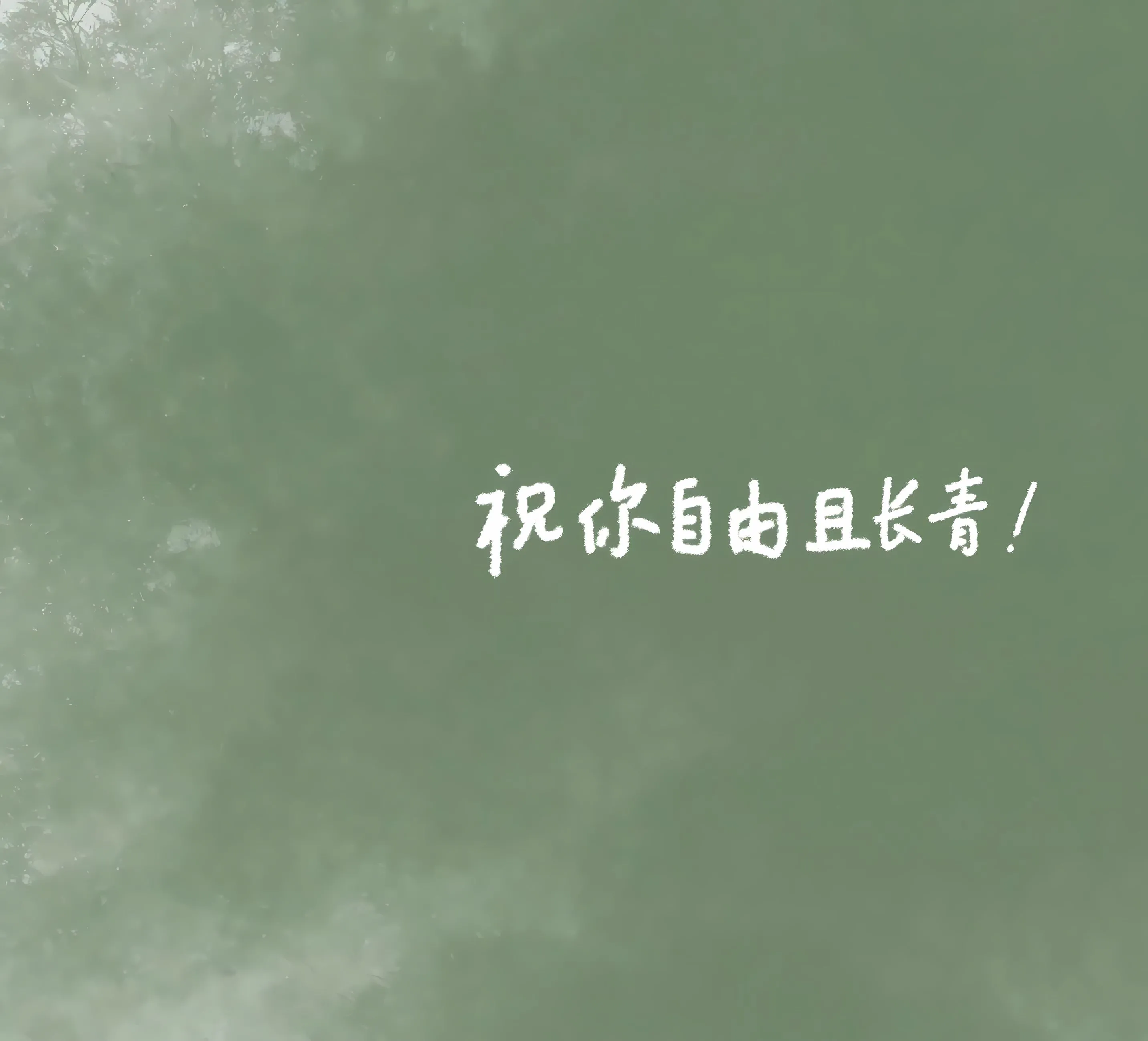 励志 打工人 文字 学习 绿色 壁纸预览