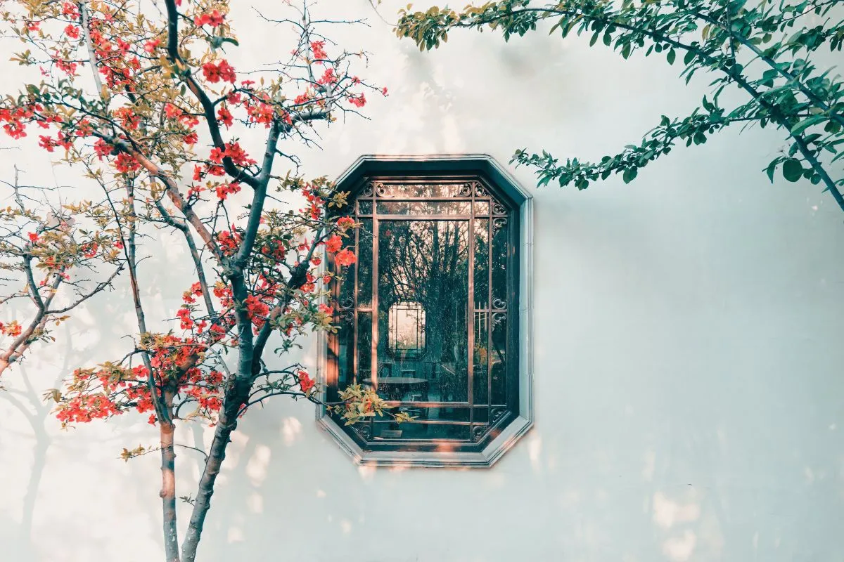 植物 中国风 木棉花 中式窗 氛围感 壁纸预览