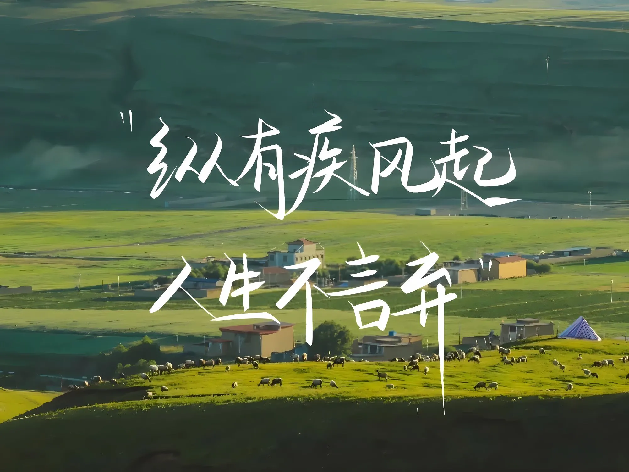 励志 风景 大自然 草原 纵有疾风起人生不言弃 上岸 壁纸预览