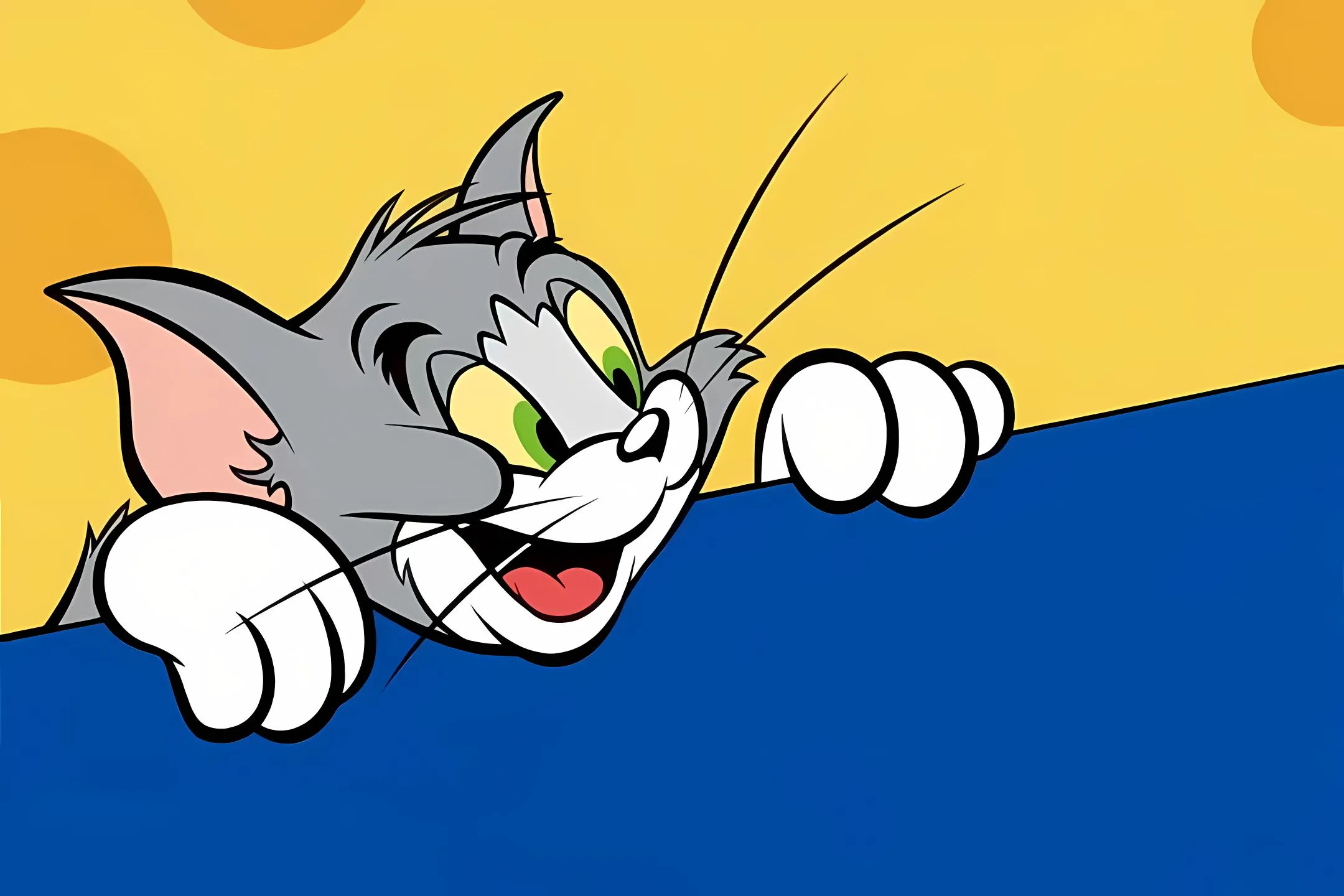 动漫 猫和老鼠 Tom 壁纸预览
