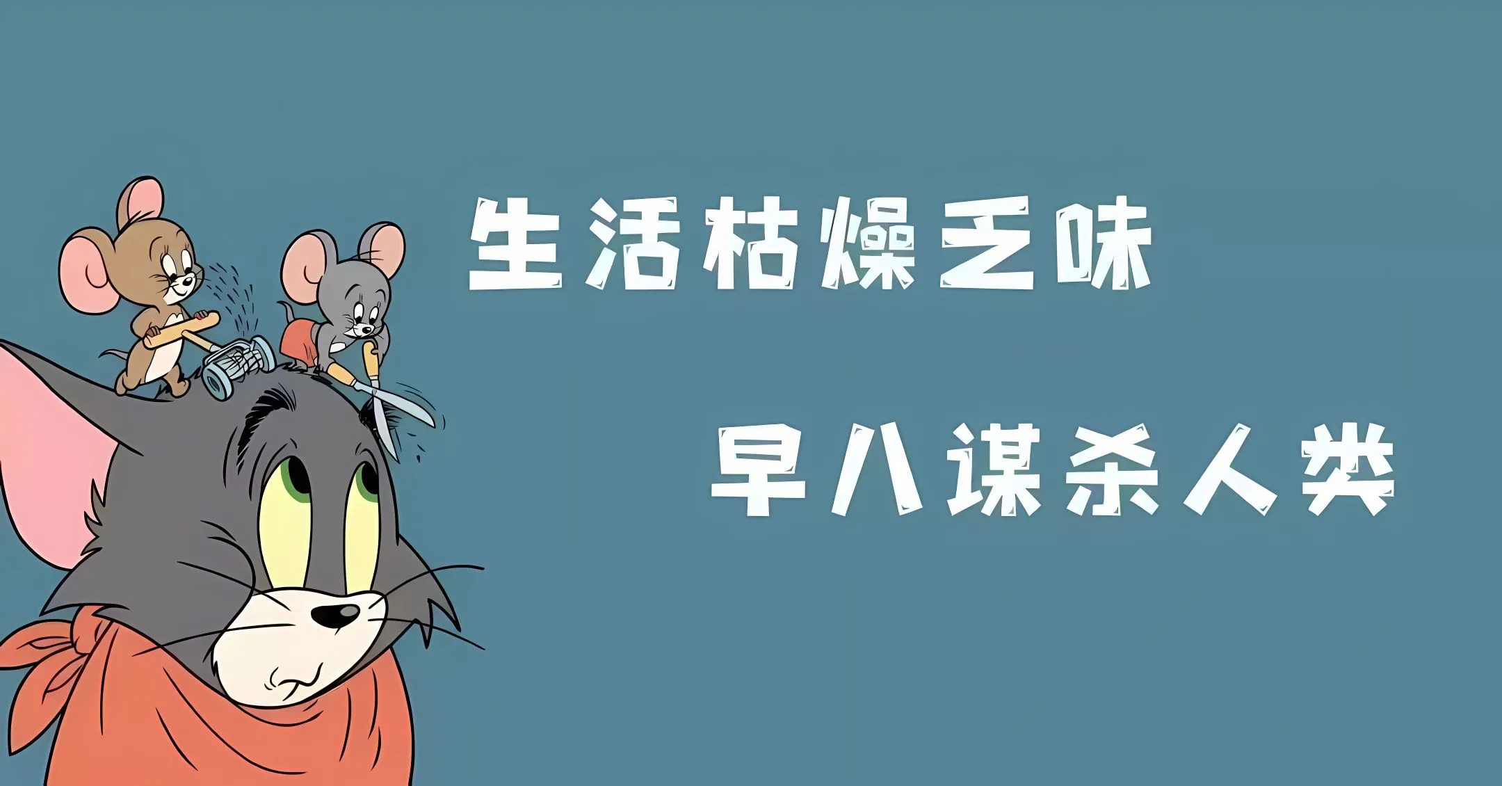 动漫 学习 猫和老鼠 壁纸预览