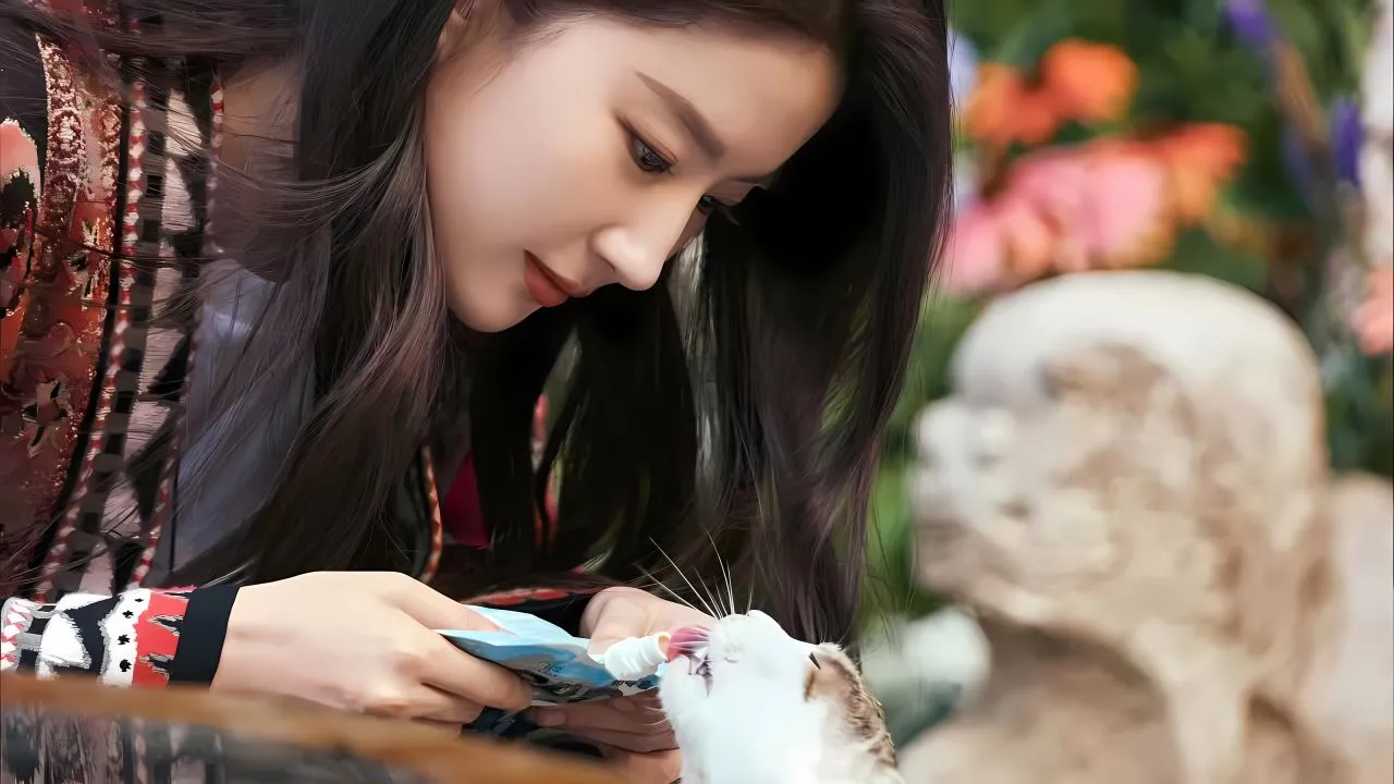明星 美女 女明星 刘亦菲 神仙姐姐 壁纸预览