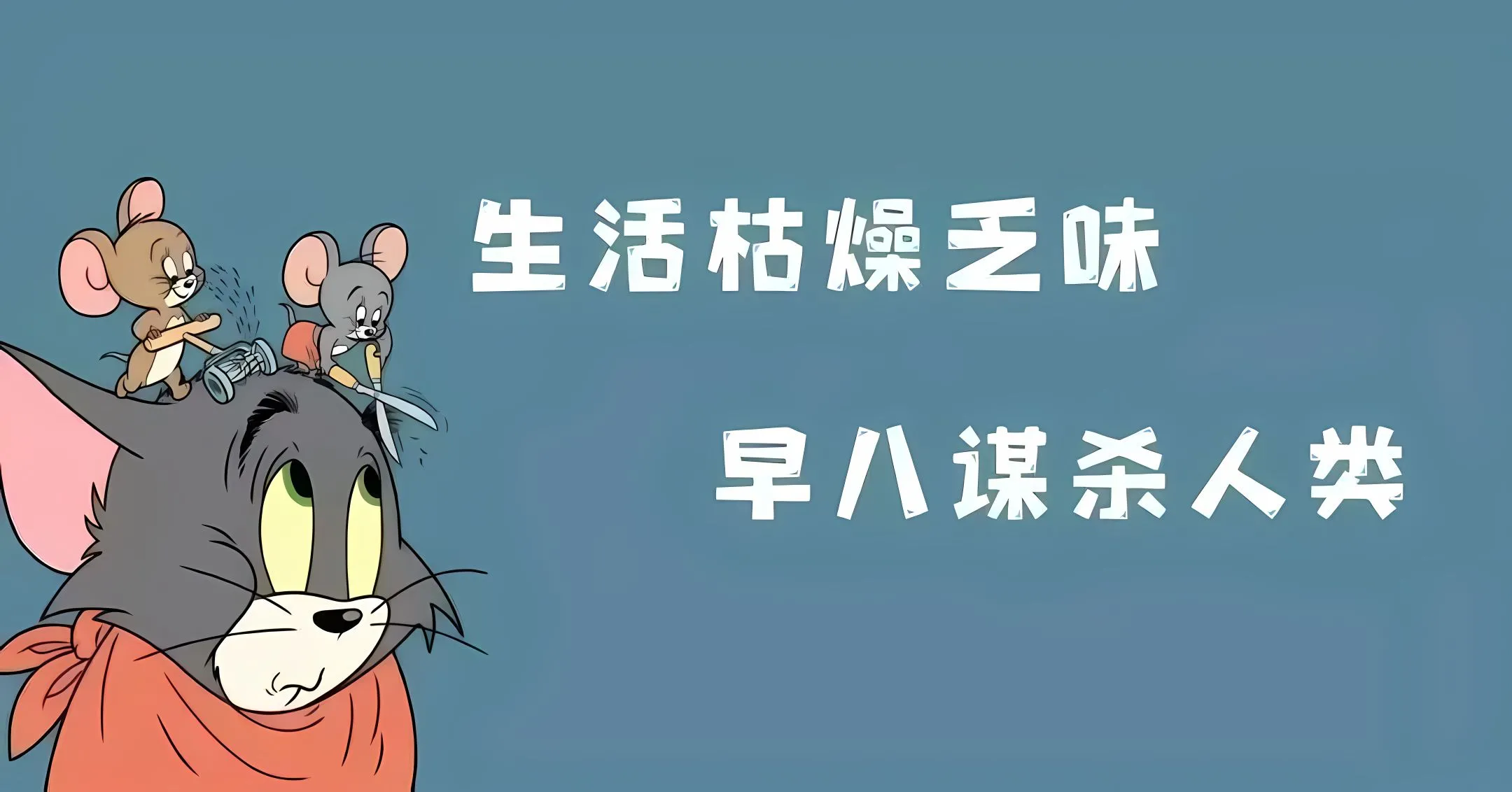 动漫 猫和老鼠 学习 壁纸预览