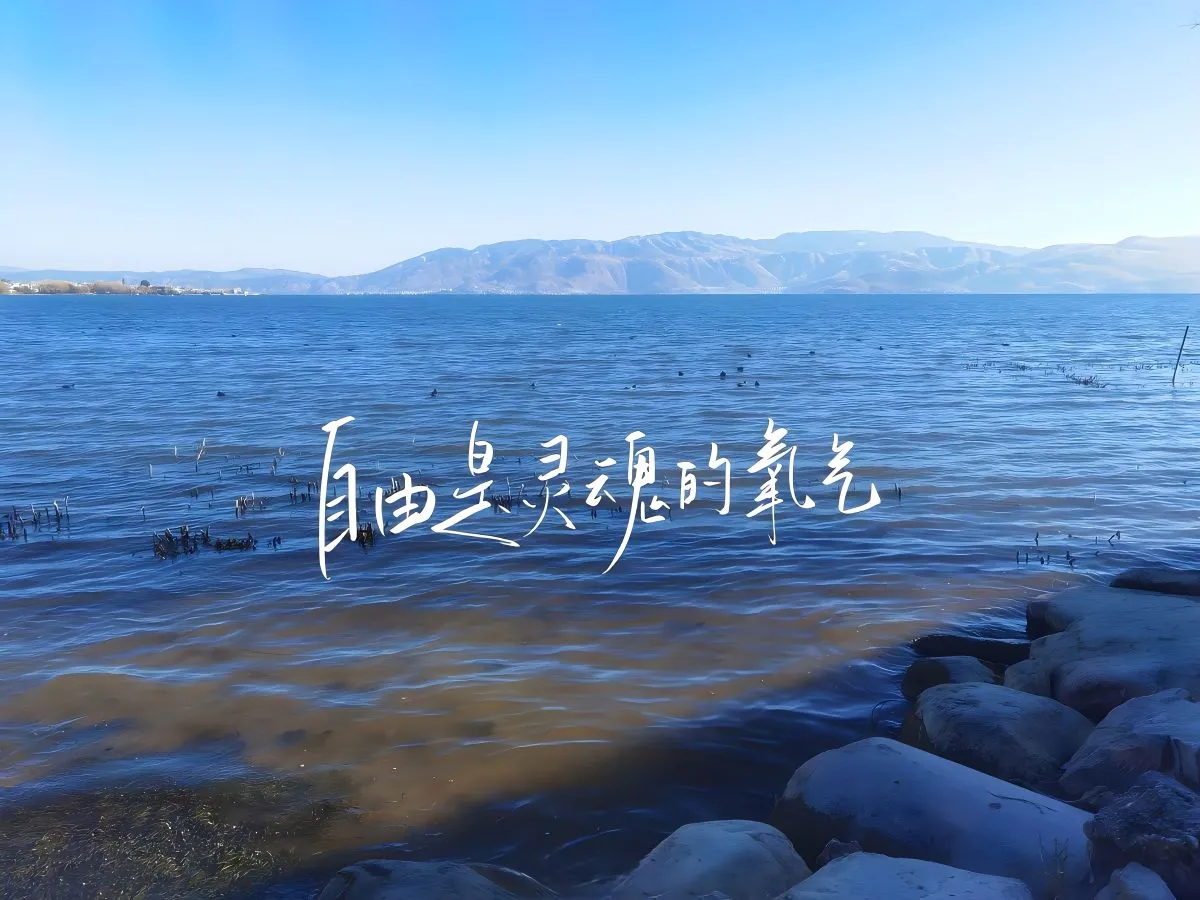 励志 自由是灵魂的氧气 风景 壁纸预览