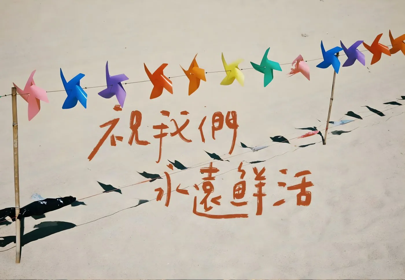 励志 简约 祝我们永远鲜活 壁纸预览