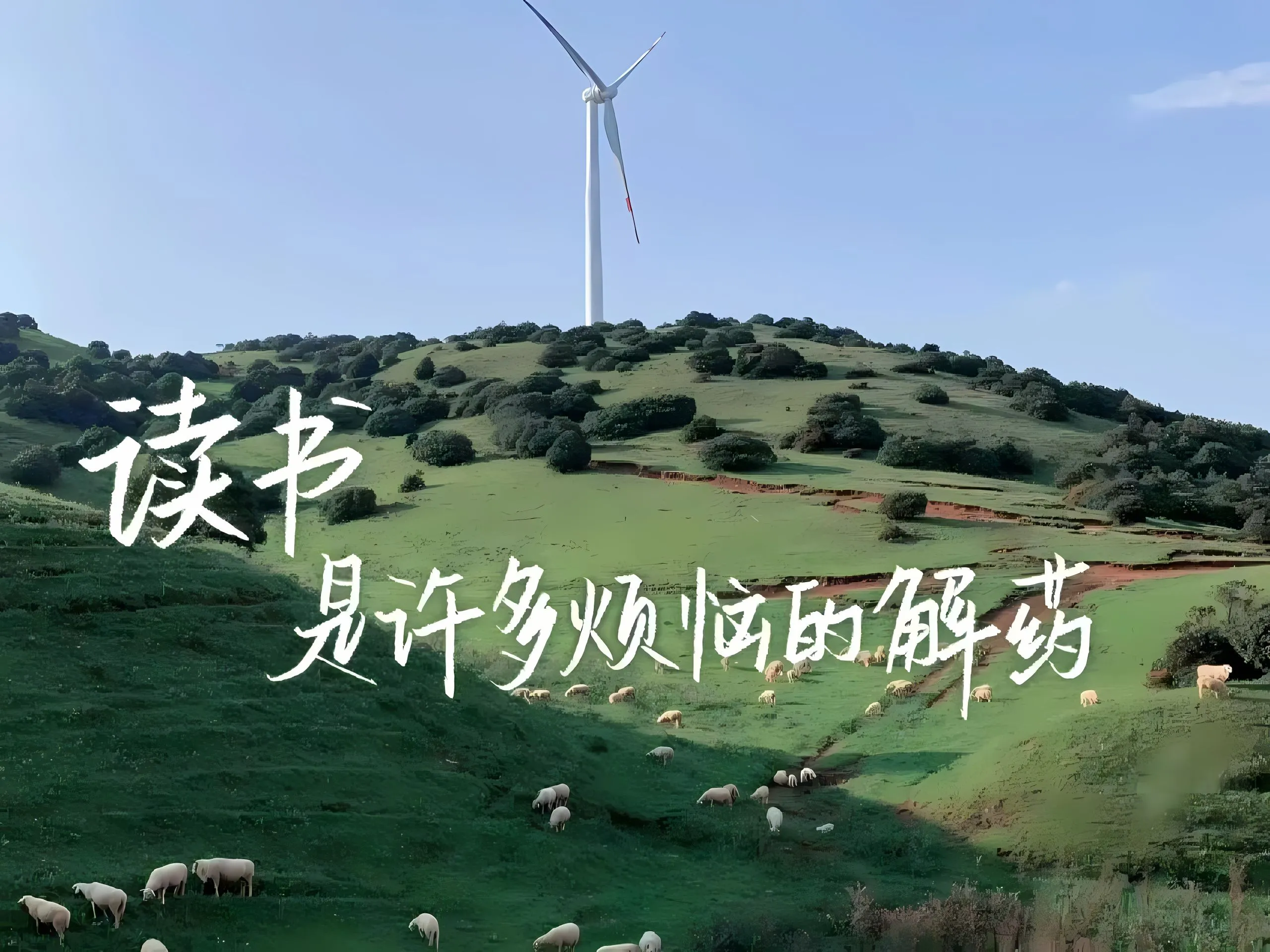 励志 文字 读书是烦恼的解药 学习专用 壁纸预览