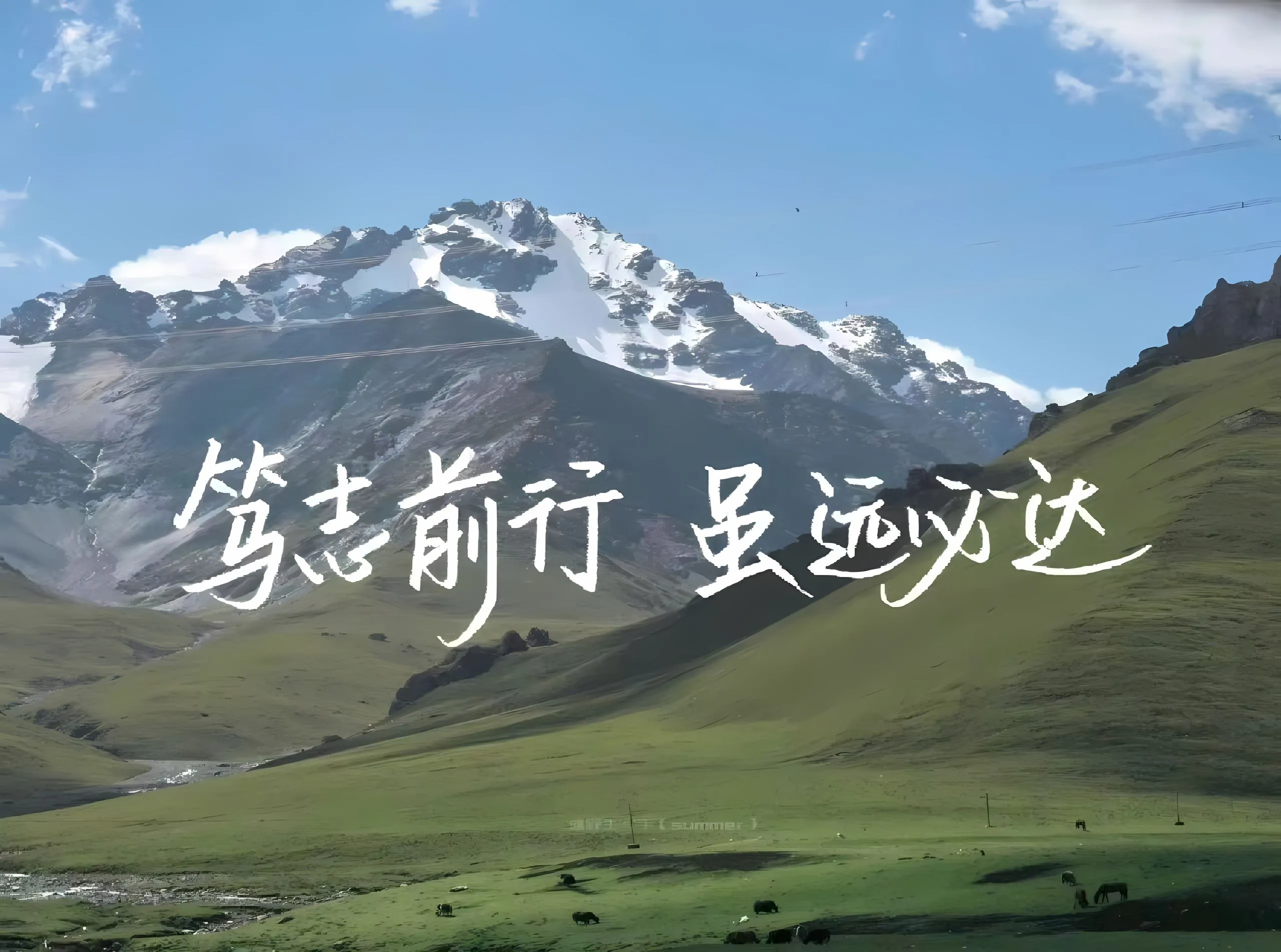 励志 文字 笃志前行 虽远必达 壁纸预览