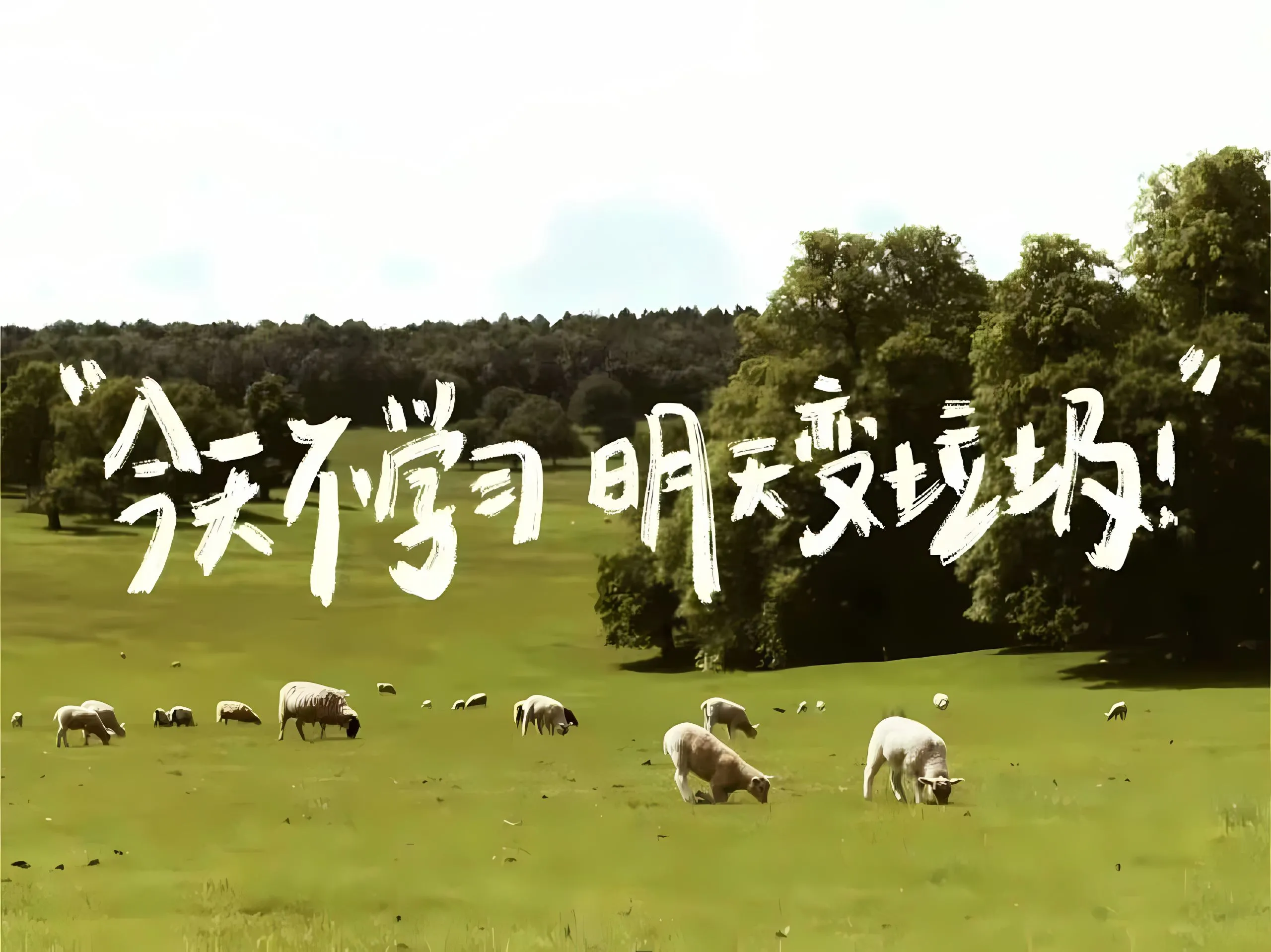 励志 学习专用 学习 壁纸预览