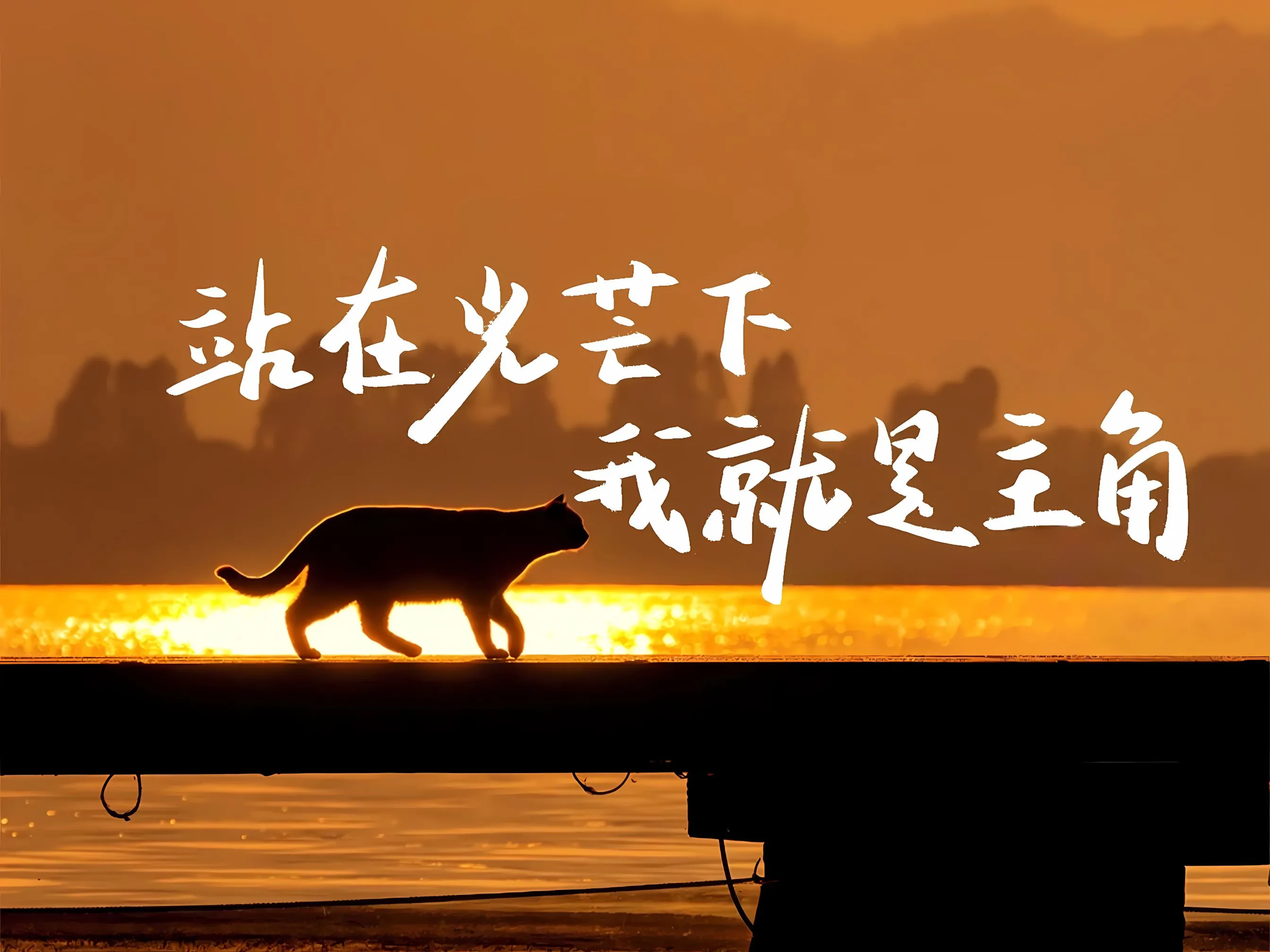 励志 风景 文字 学习 学习专用 壁纸预览