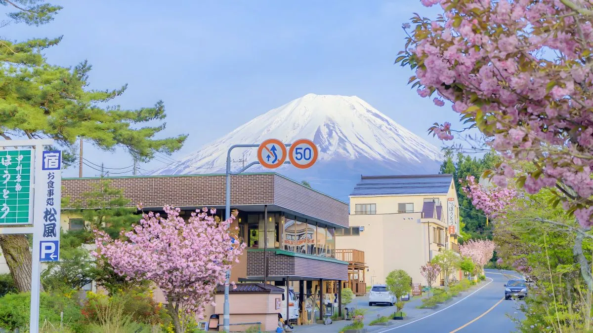 风景 治愈 超好看的风景 唯美 富士山 壁纸预览