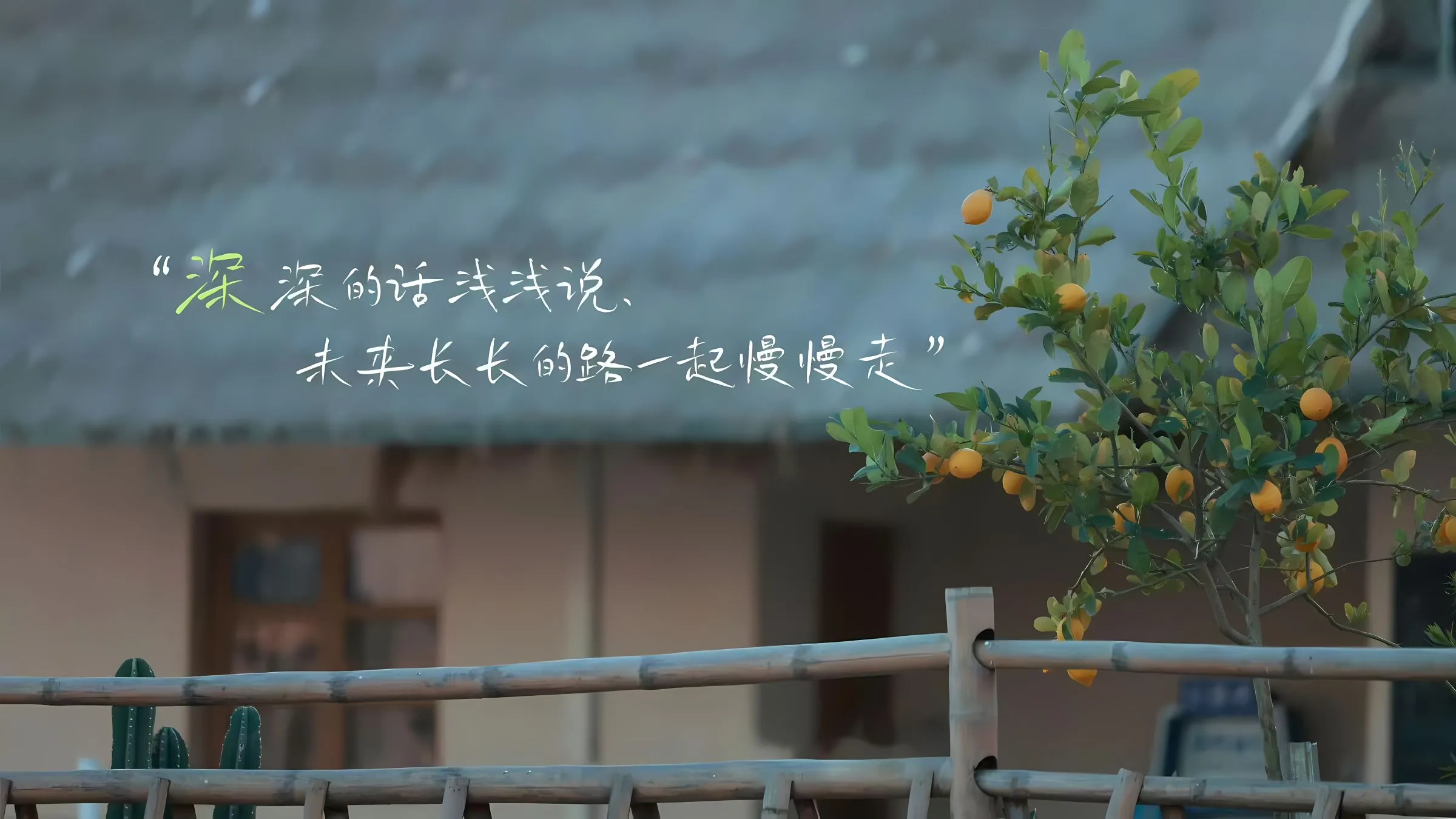 明星 帅哥 男明星 种地吧少年 十个勤天 壁纸预览