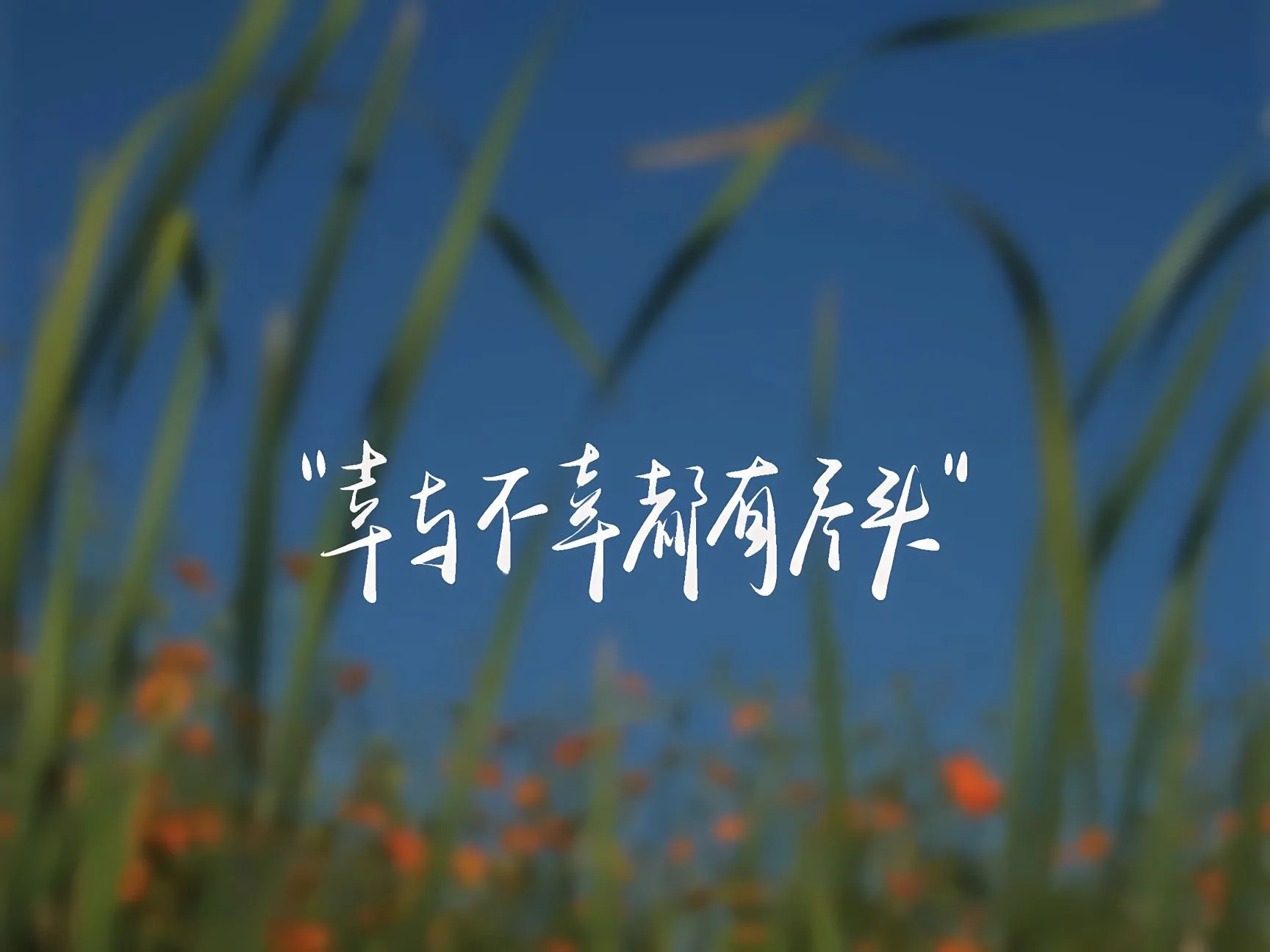 励志 风景 文字 壁纸预览